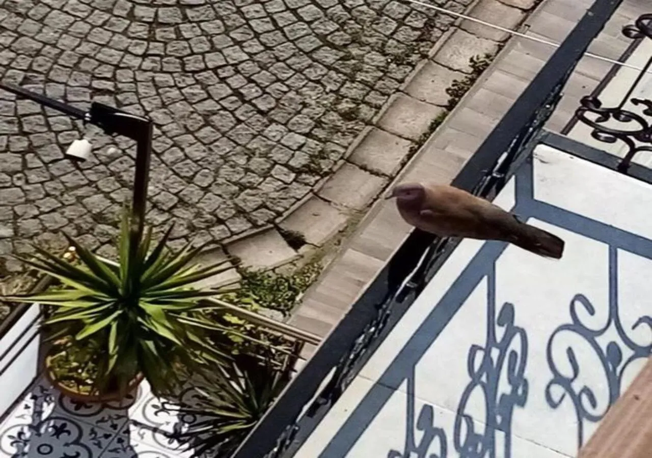 Street view in Yasin Apart hotel