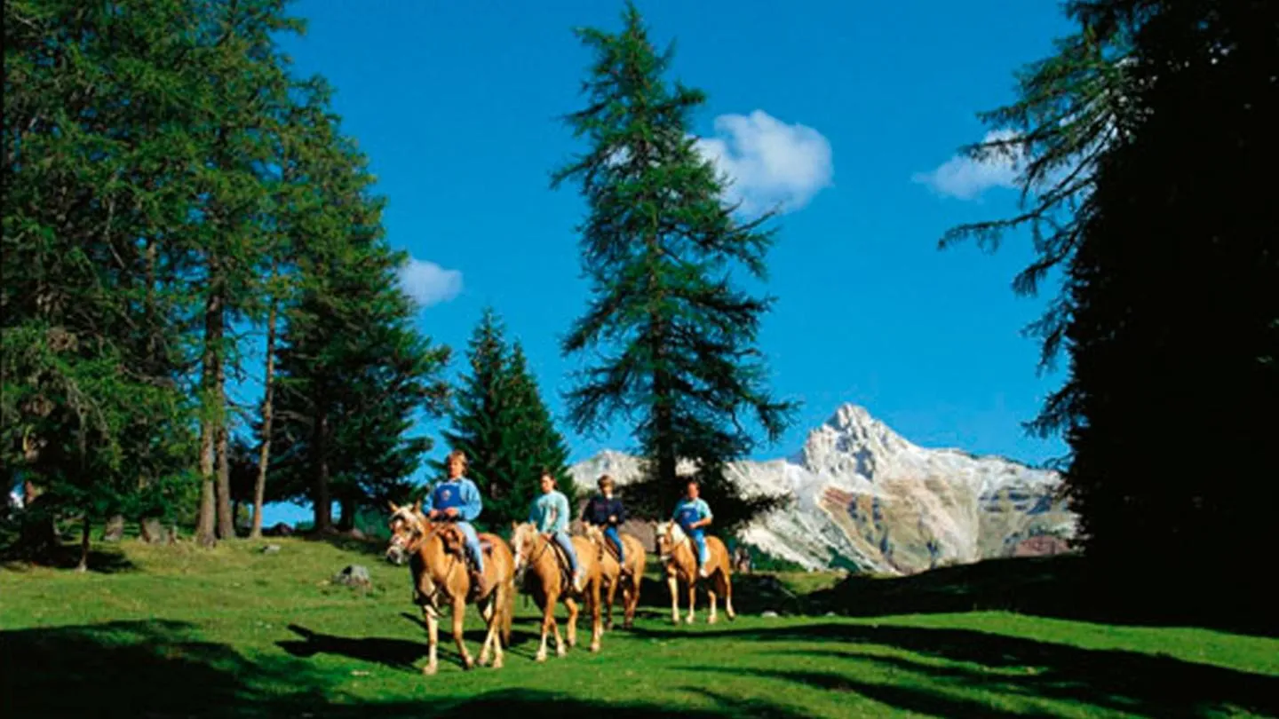 Hiking in Panorama Vital Hotel Rimmele