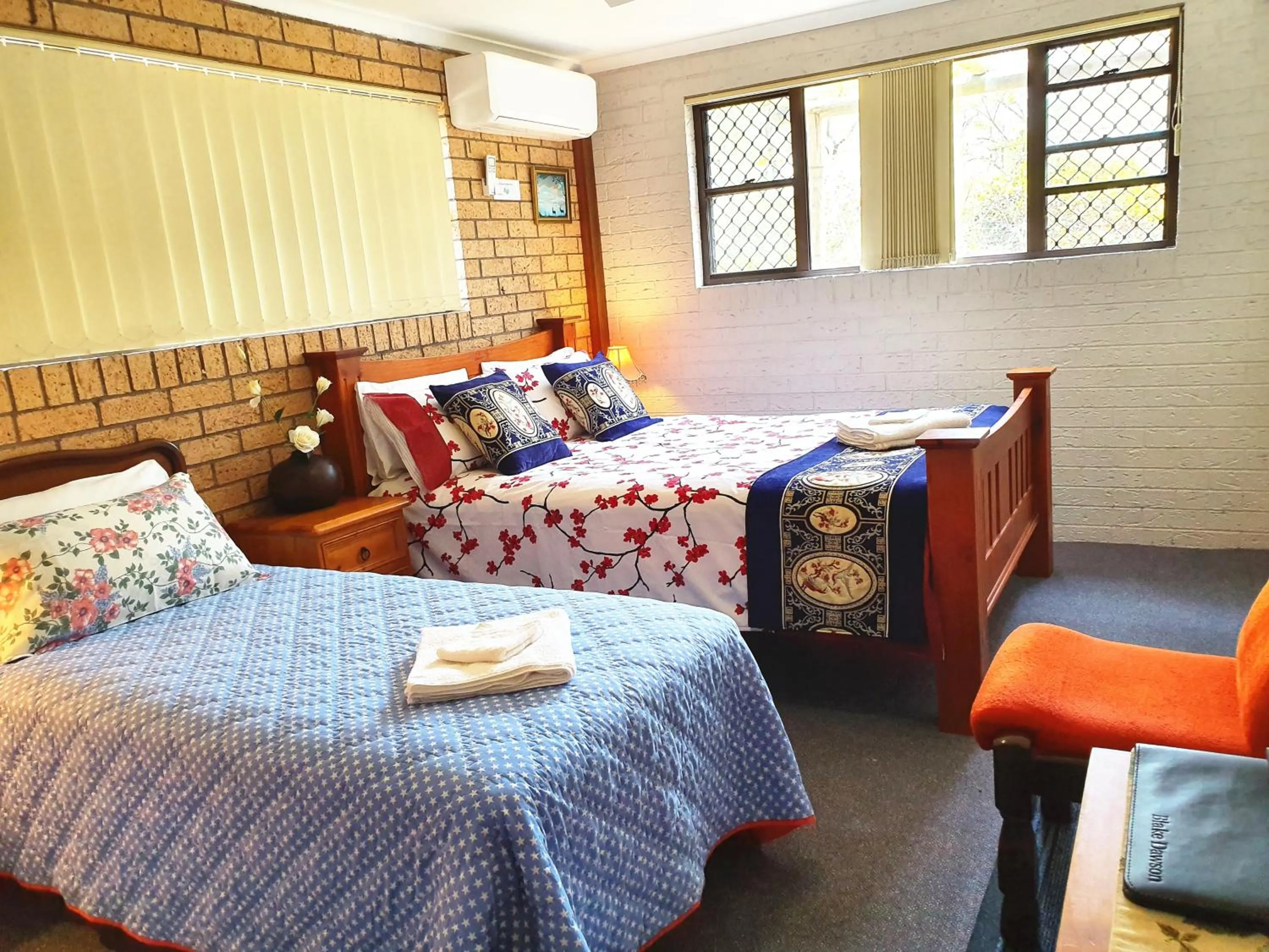 Bed in Gowrie Agapanthus