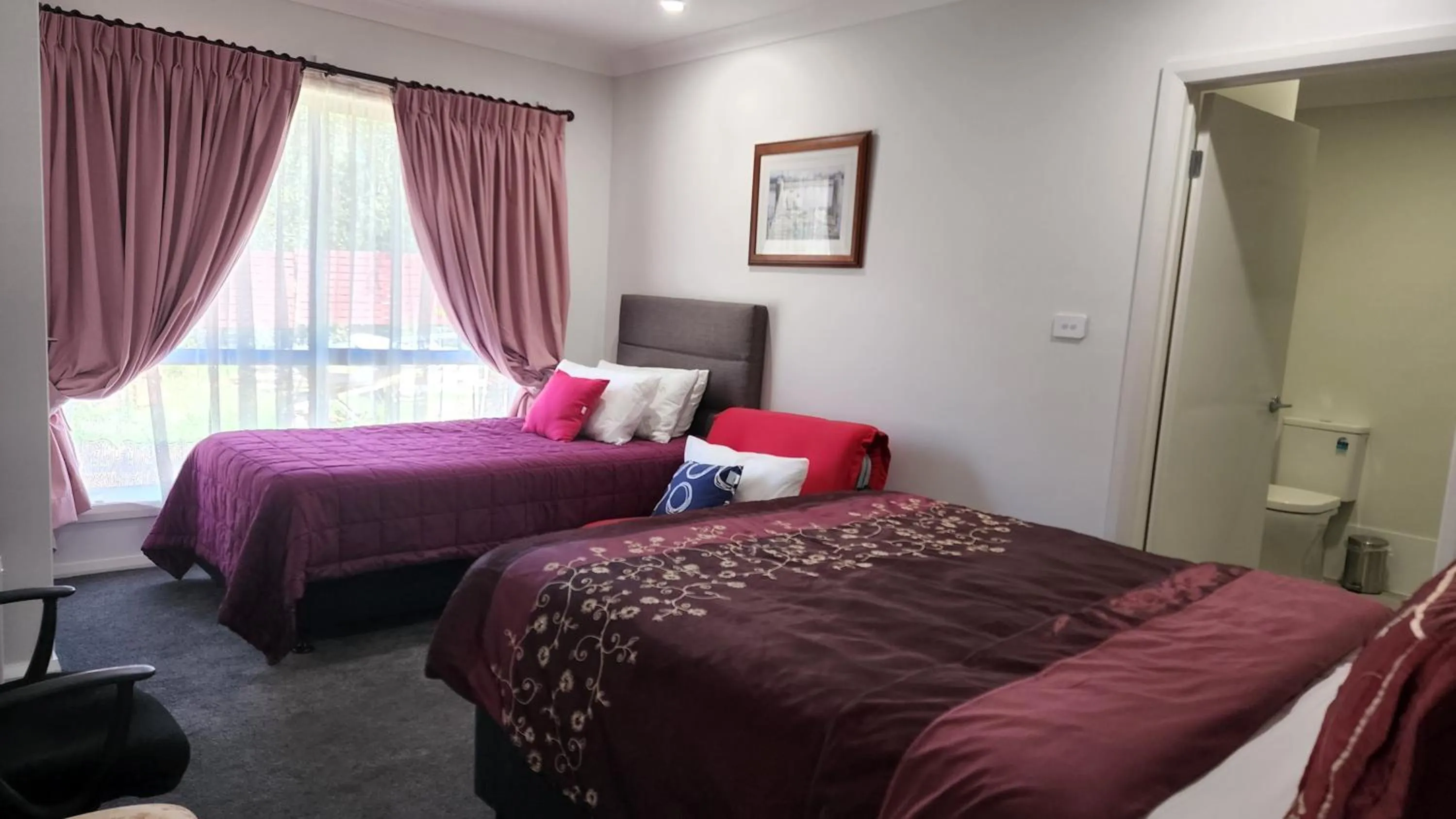 Bed in Gowrie Agapanthus