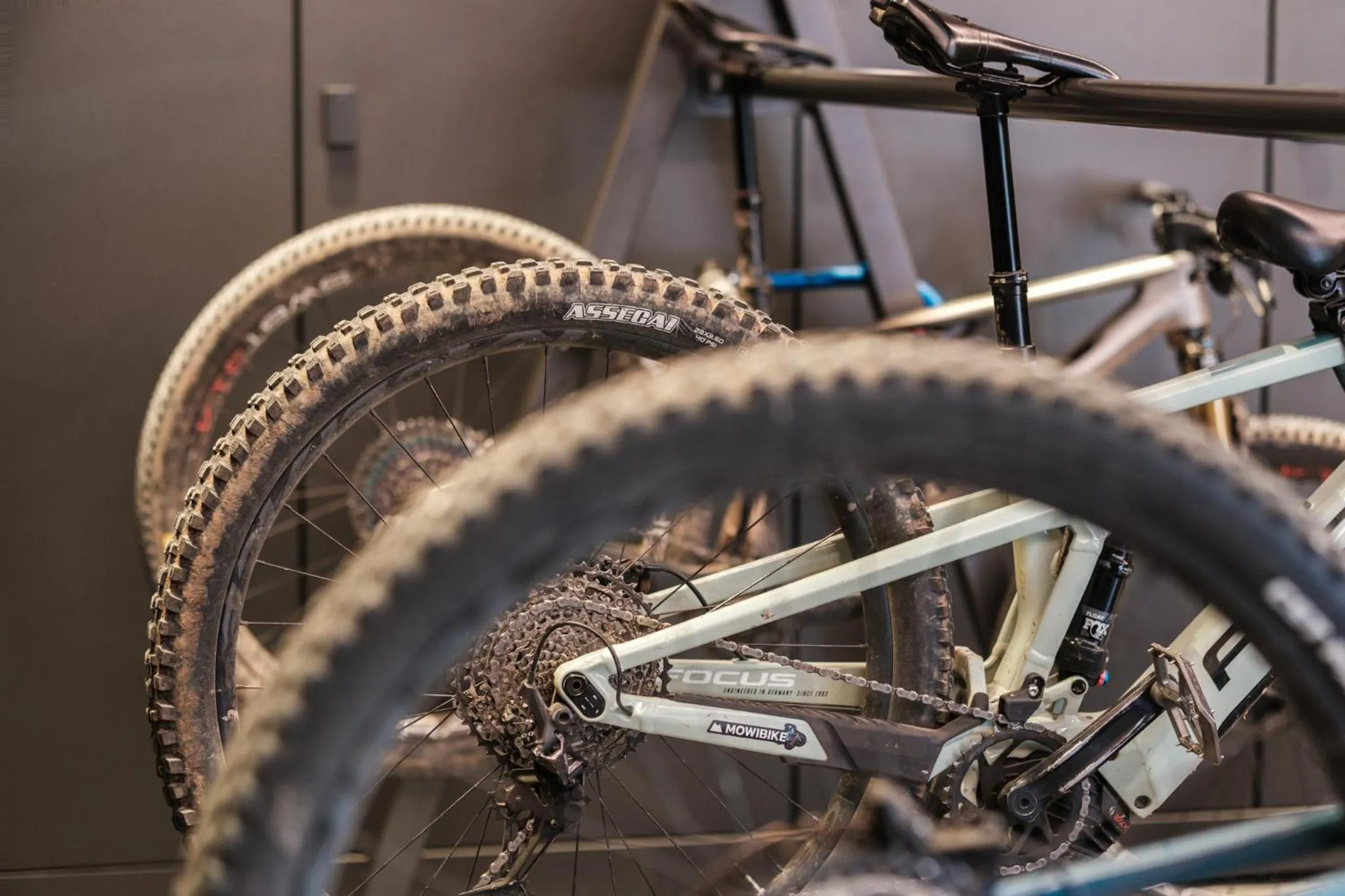 Cycling in Residence Viola