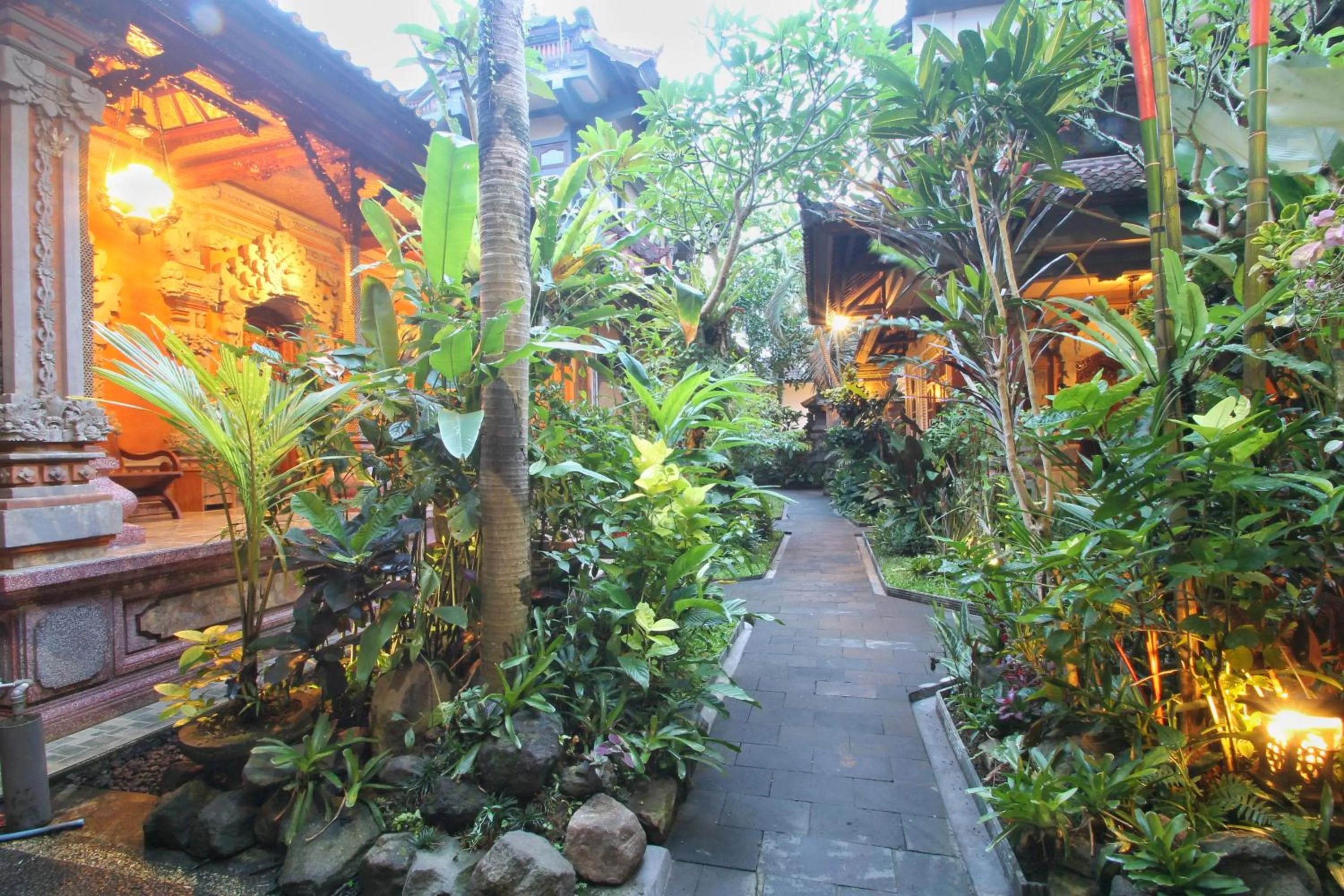 Garden in Hibiscus Cottages