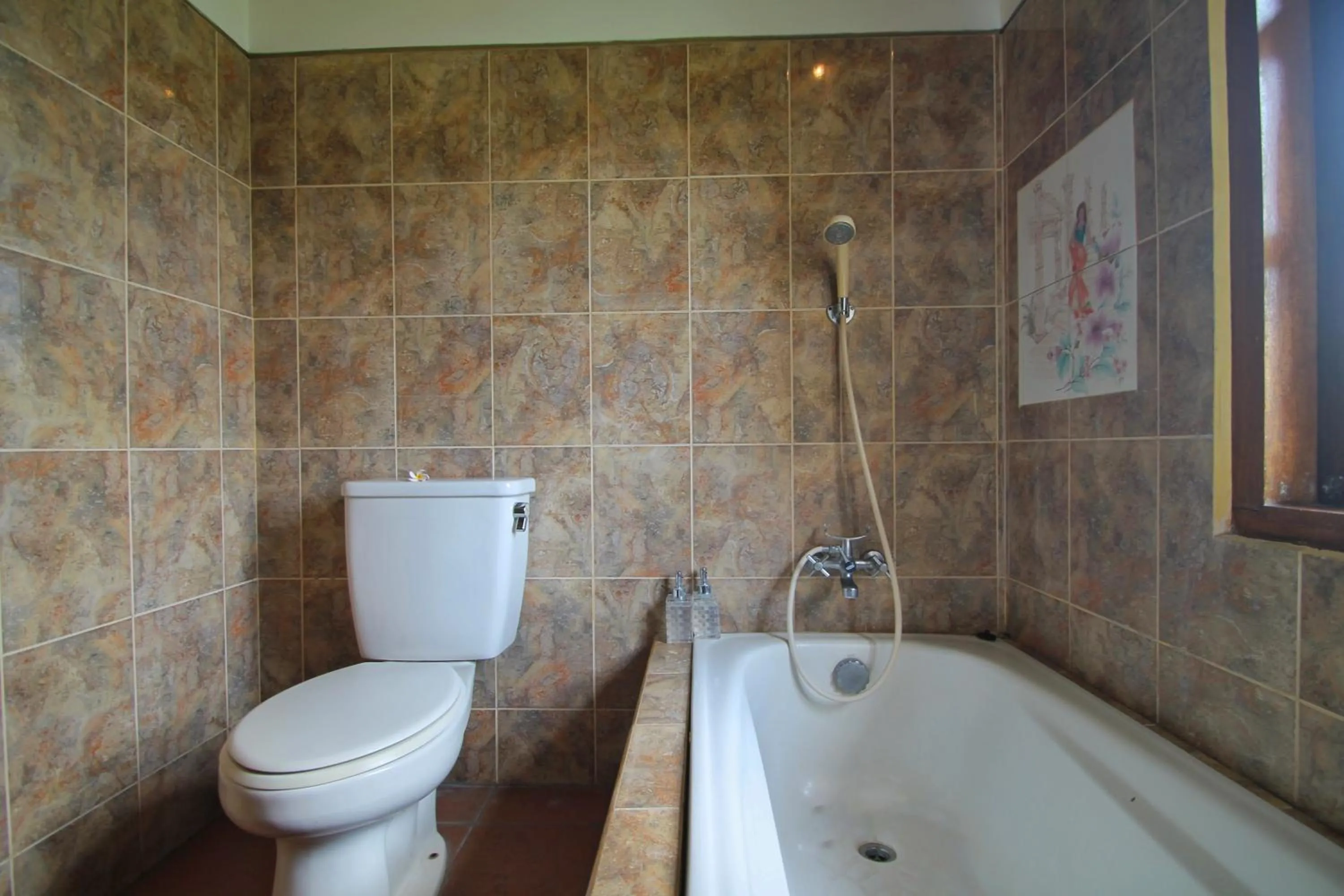 Shower in Hibiscus Cottages