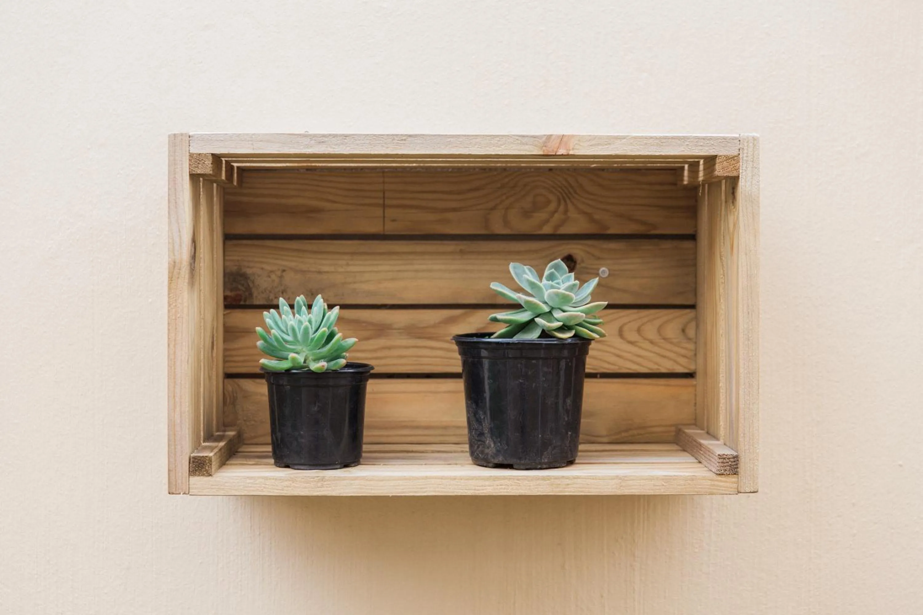 Garden in Umthunzi Hotel and Conference