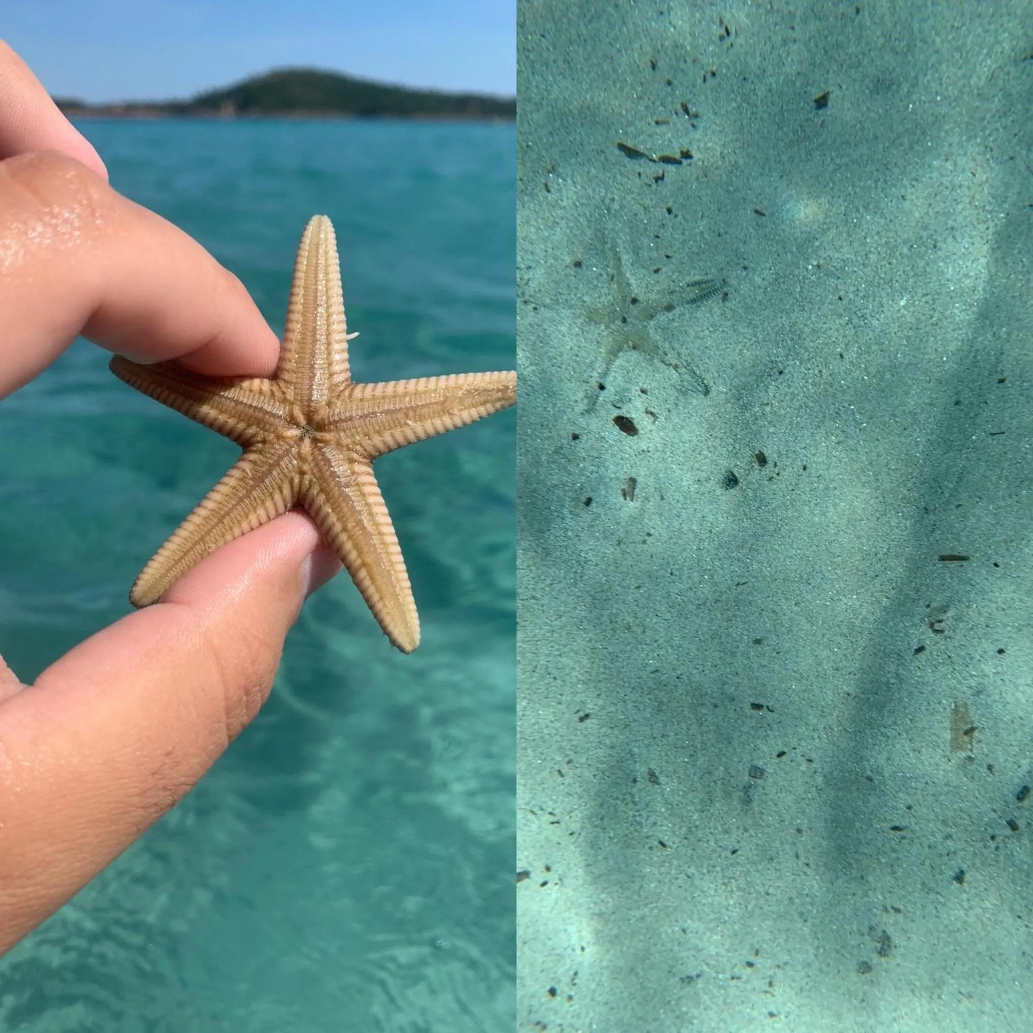 Activities in Chambres d'Hôtes Terra Bella Lecci