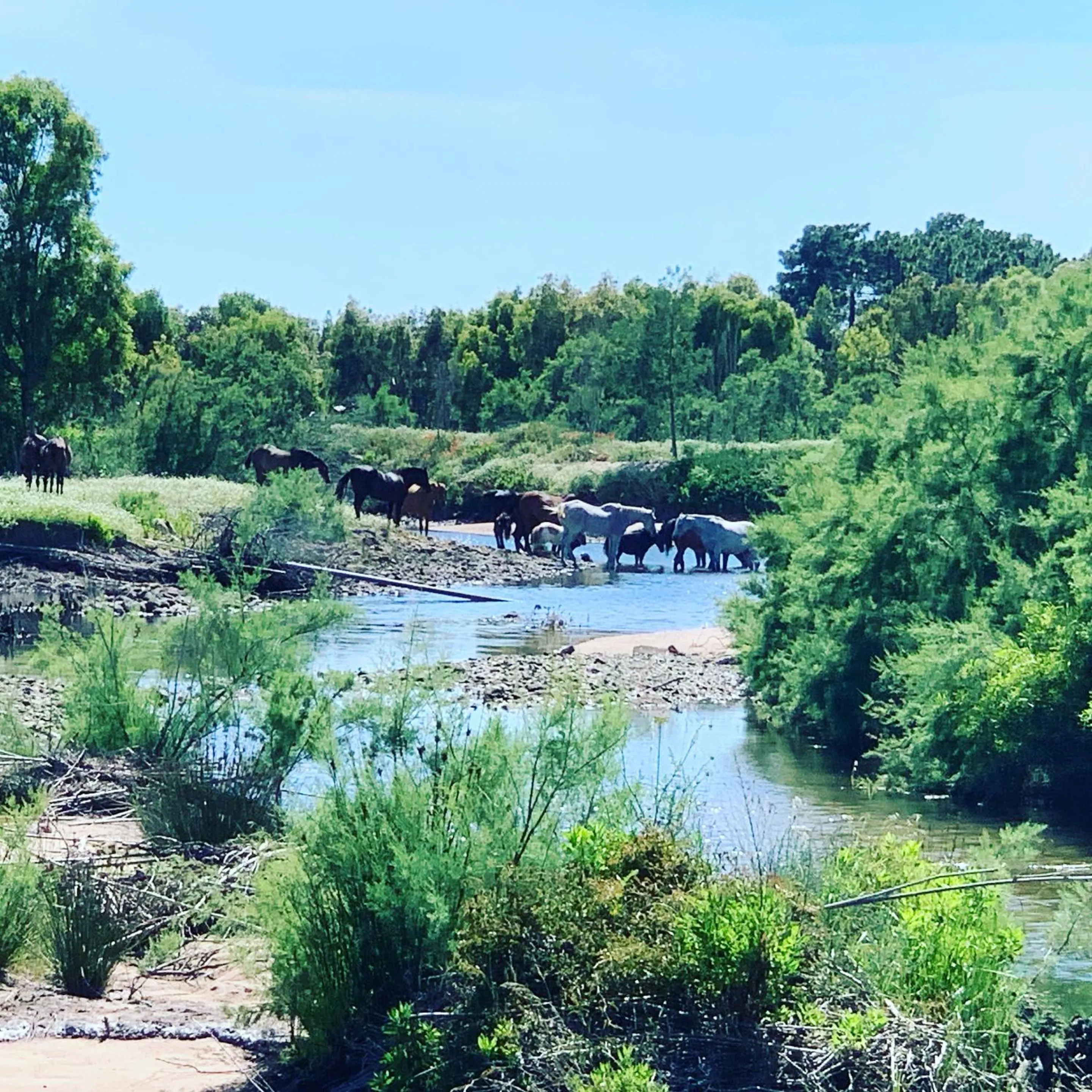 Natural landscape in Chambres d'Hôtes Terra Bella Lecci