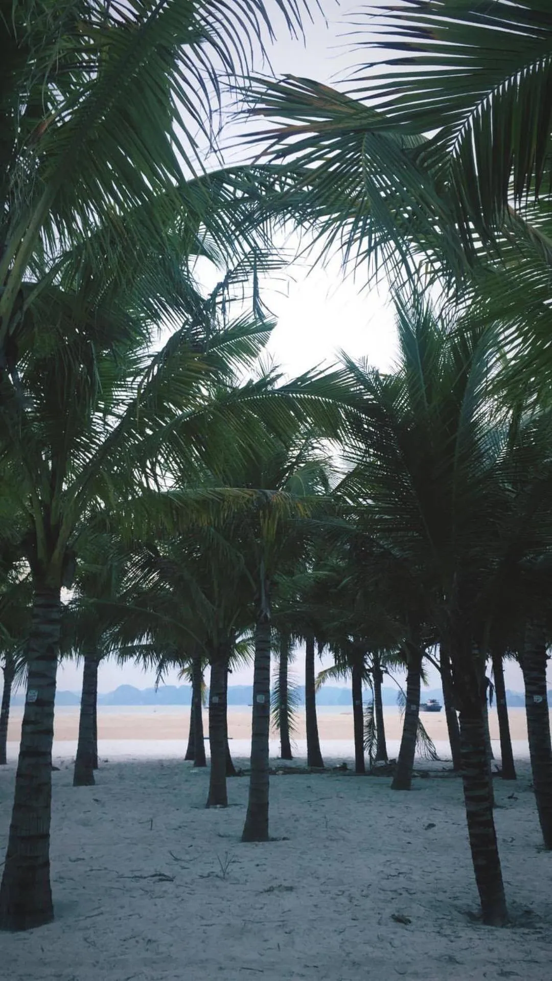 Beach in Ivy Hotel Bai Chay Ha Long