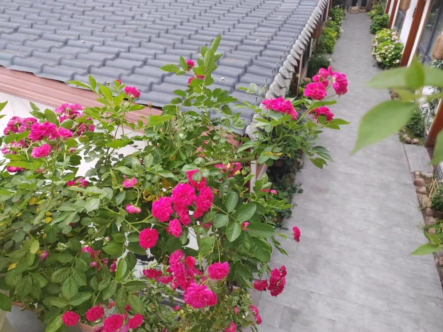 Zhangjiajie Tingyutang Little Yard