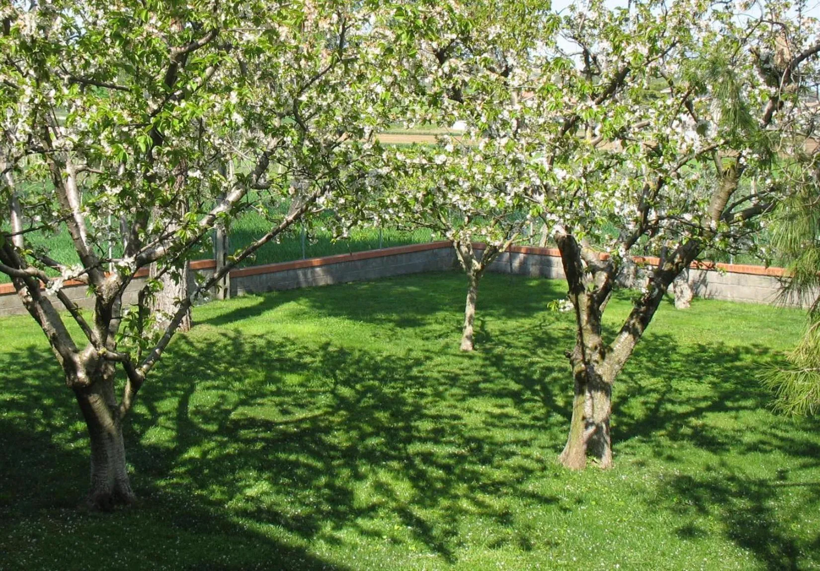 Garden view in Bed & Breakfast Bompadre