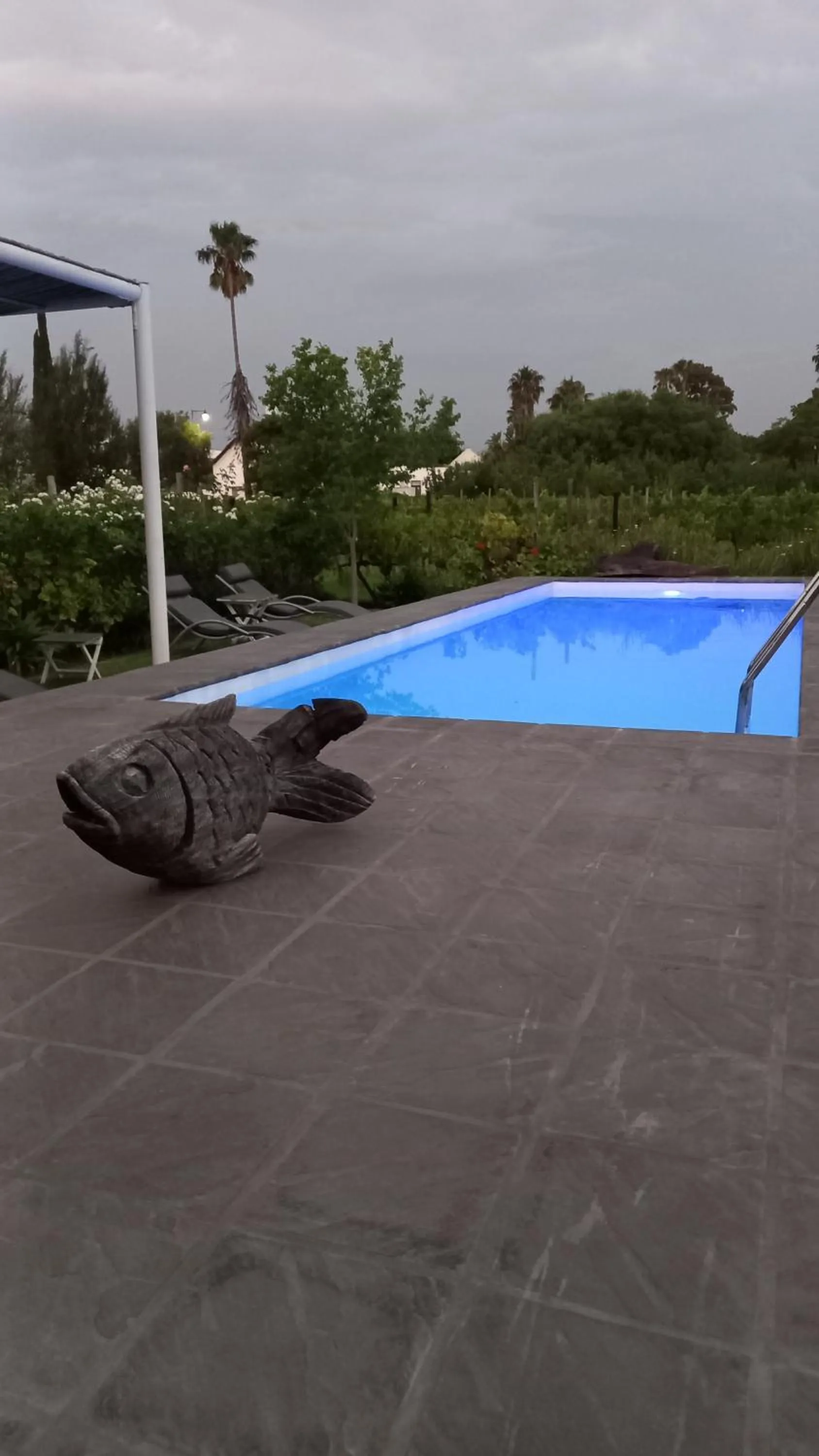 Pool view in The Vineyard Country House