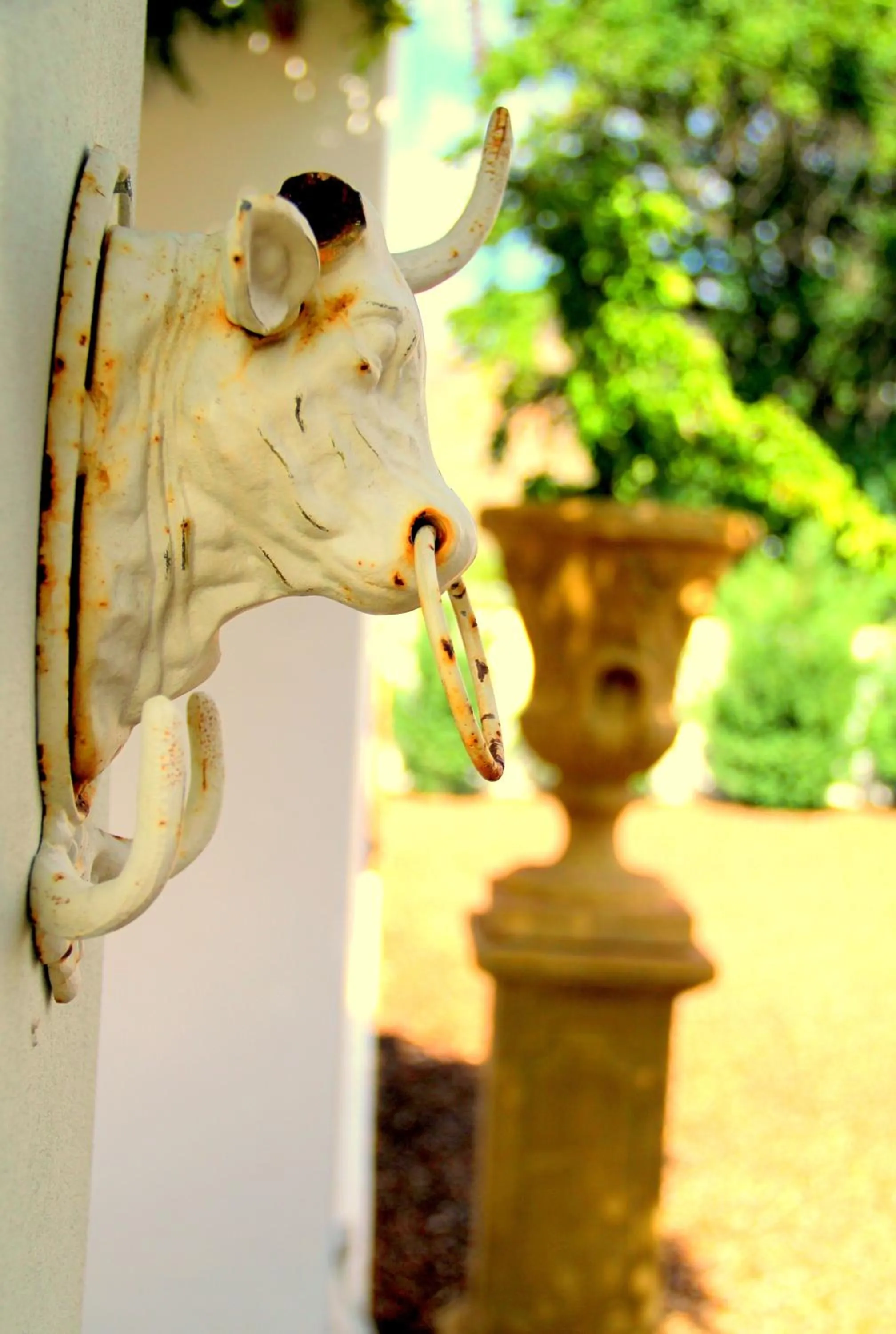 Property building in The Vineyard Country House