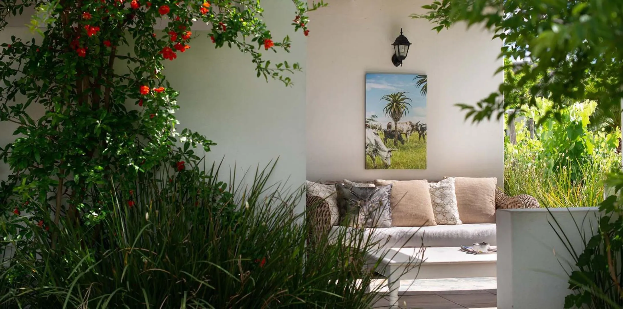 Garden view in The Vineyard Country House