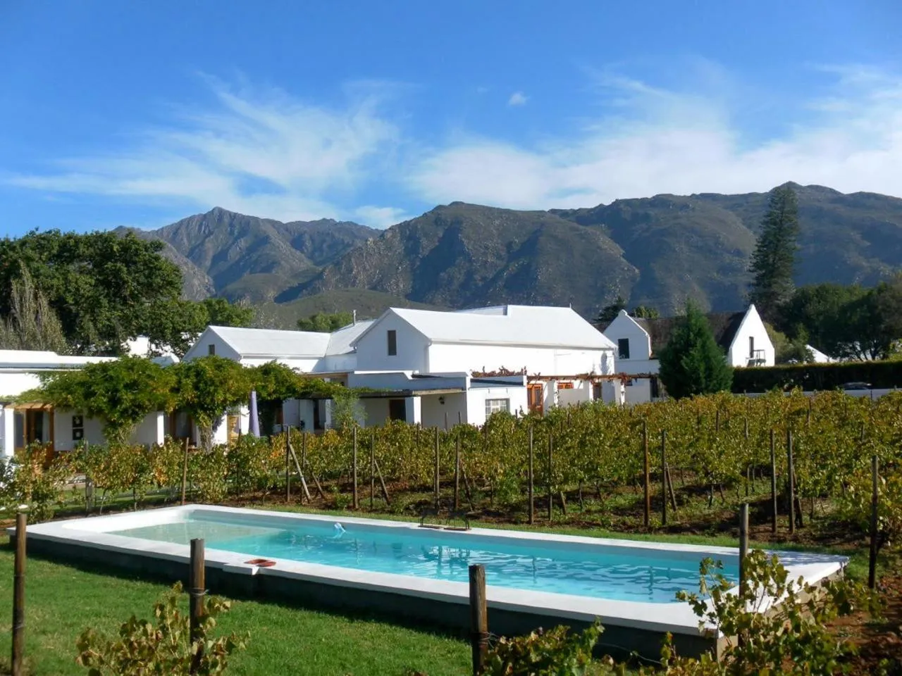 Swimming pool in The Vineyard Country House