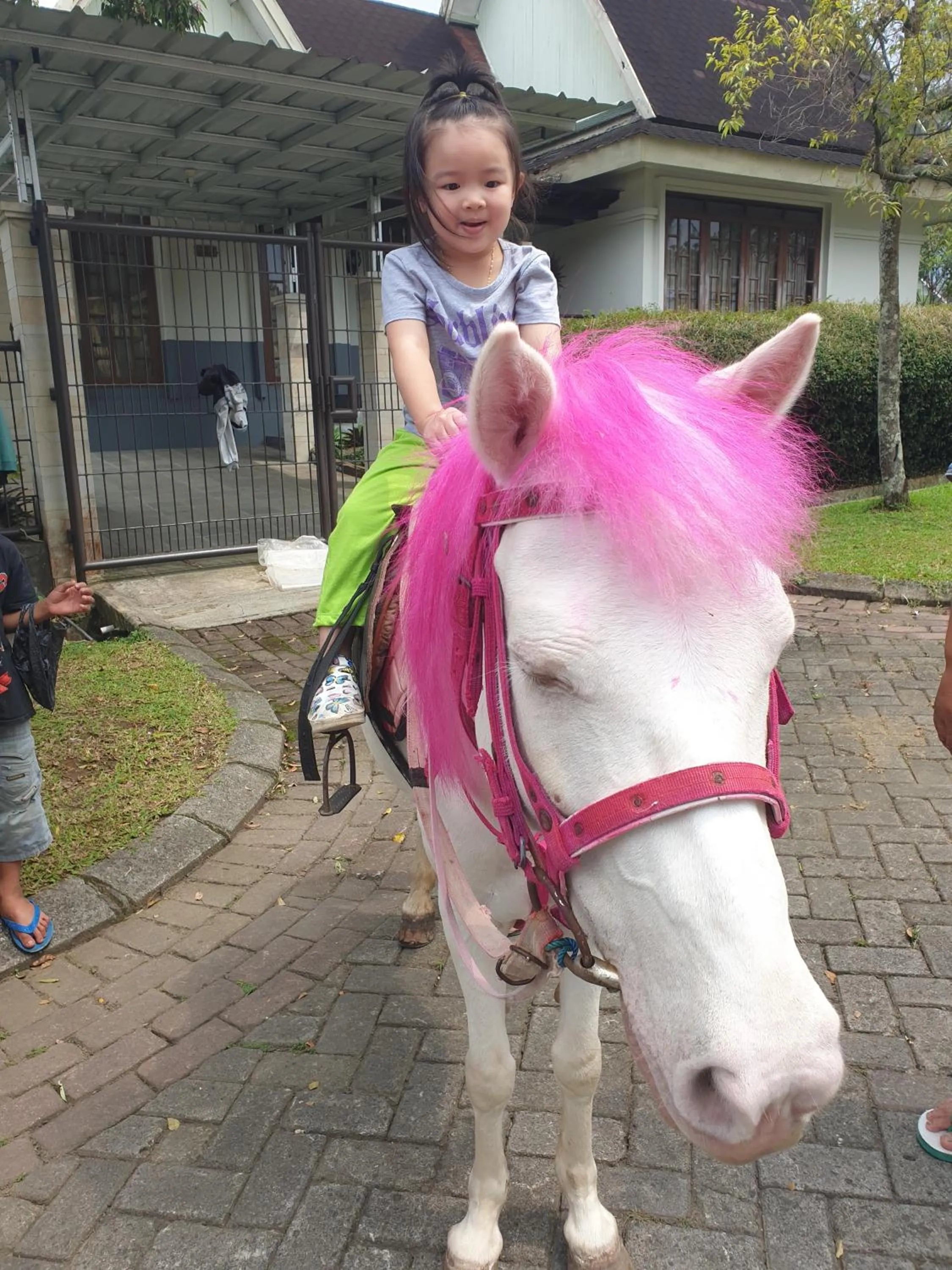 Villa Miky Kota Bunga Puncak Cianjur Bogor