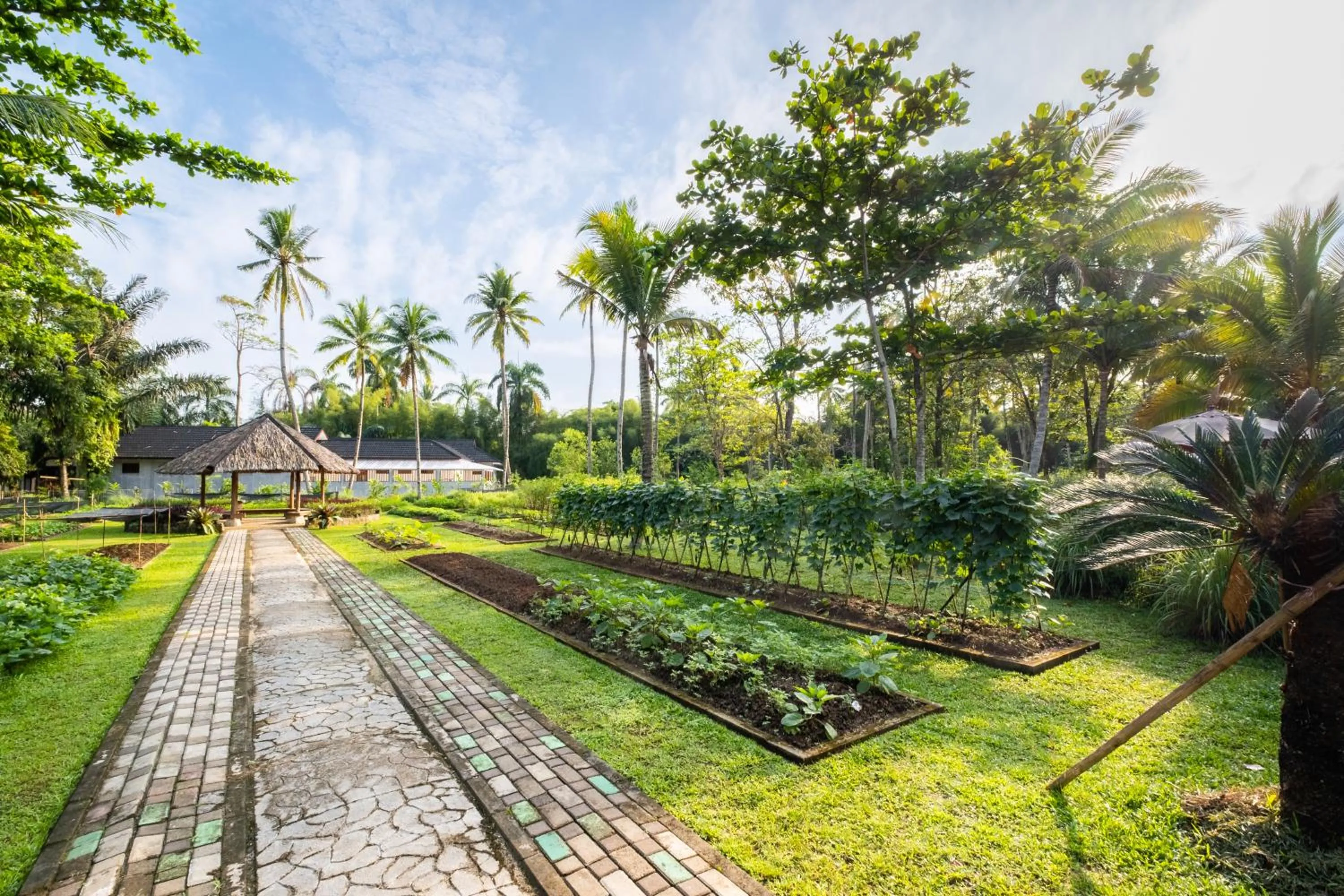 Garden in Mutiara Carita Cottages