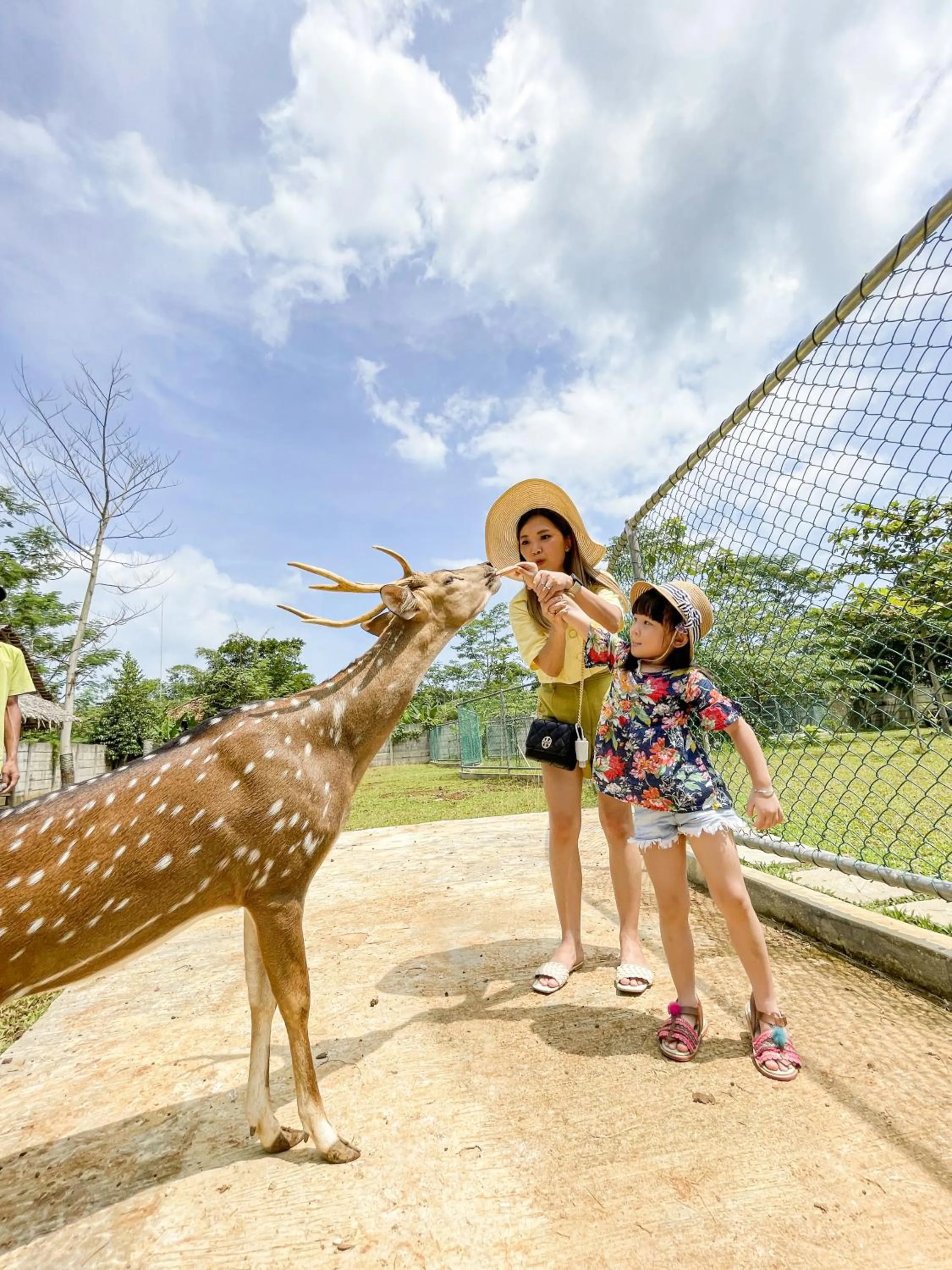 Animals in Mutiara Carita Cottages