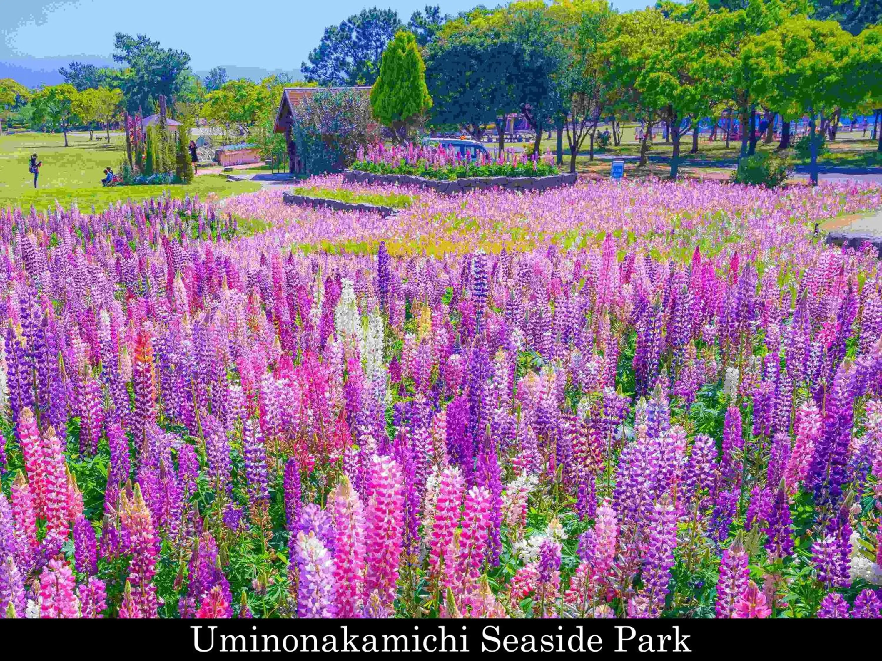 Nearby landmark in Tokyu Stay Fukuoka Tenjin