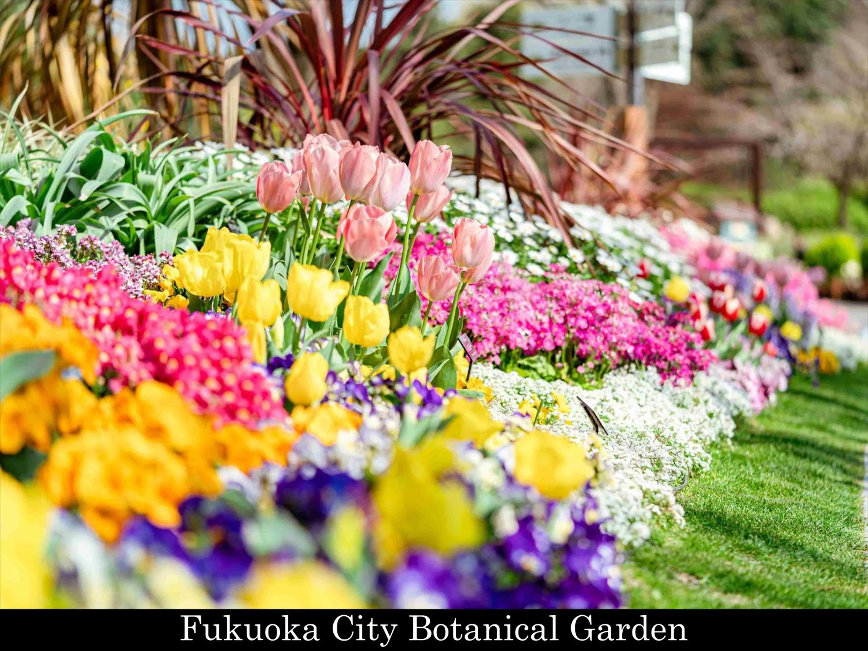 Nearby landmark in Tokyu Stay Fukuoka Tenjin