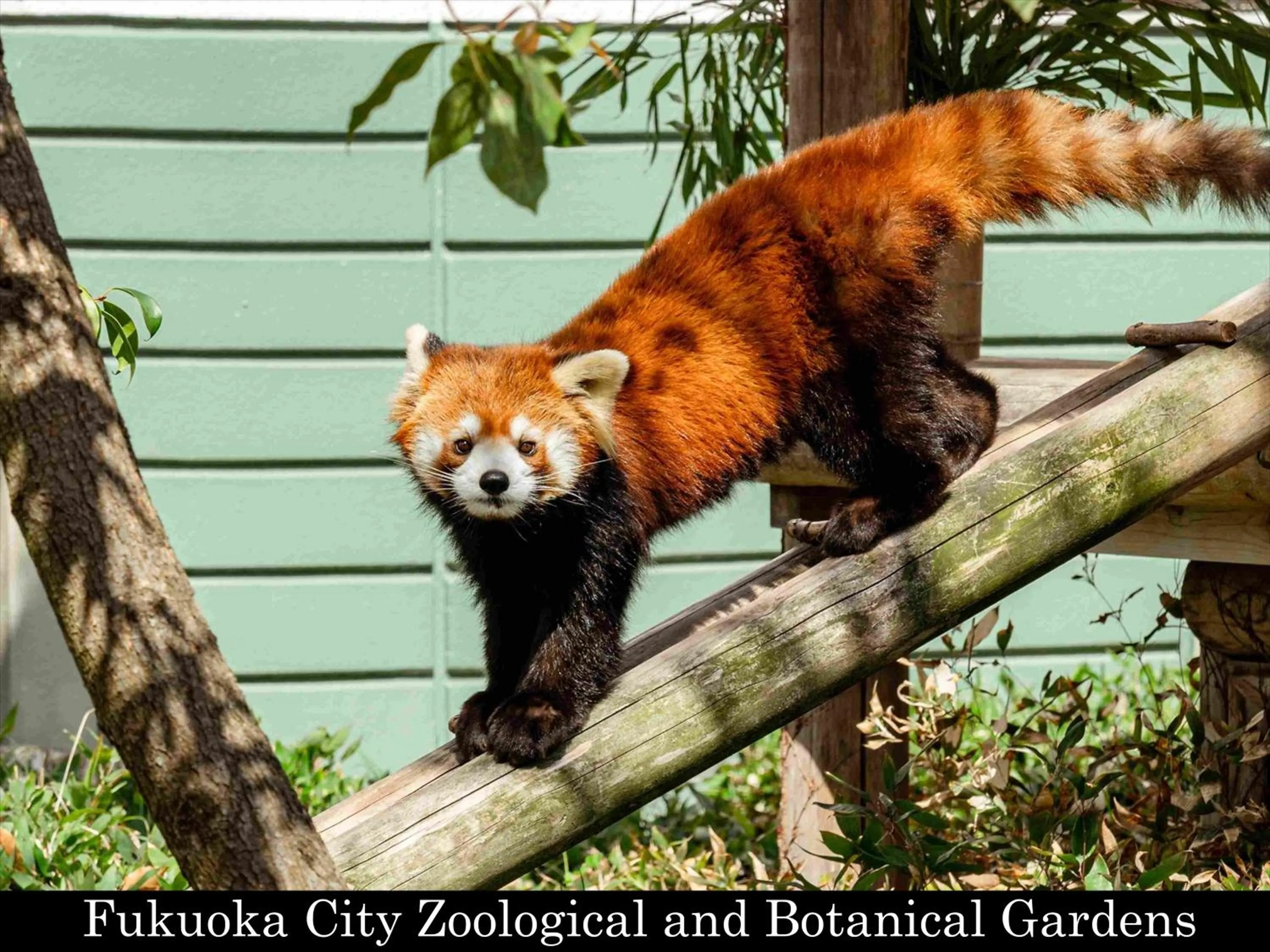 Nearby landmark in Tokyu Stay Fukuoka Tenjin