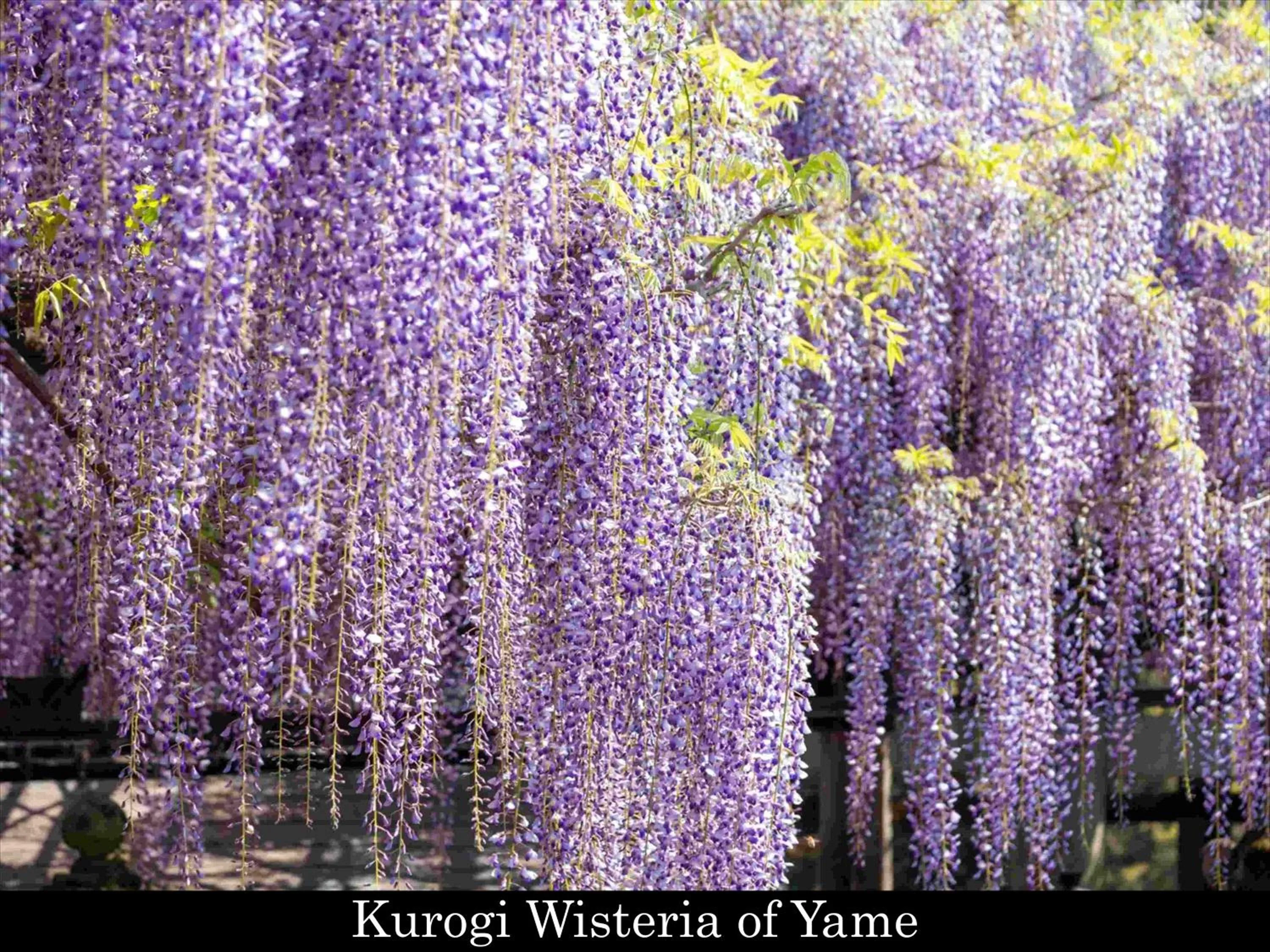 Nearby landmark in Tokyu Stay Fukuoka Tenjin