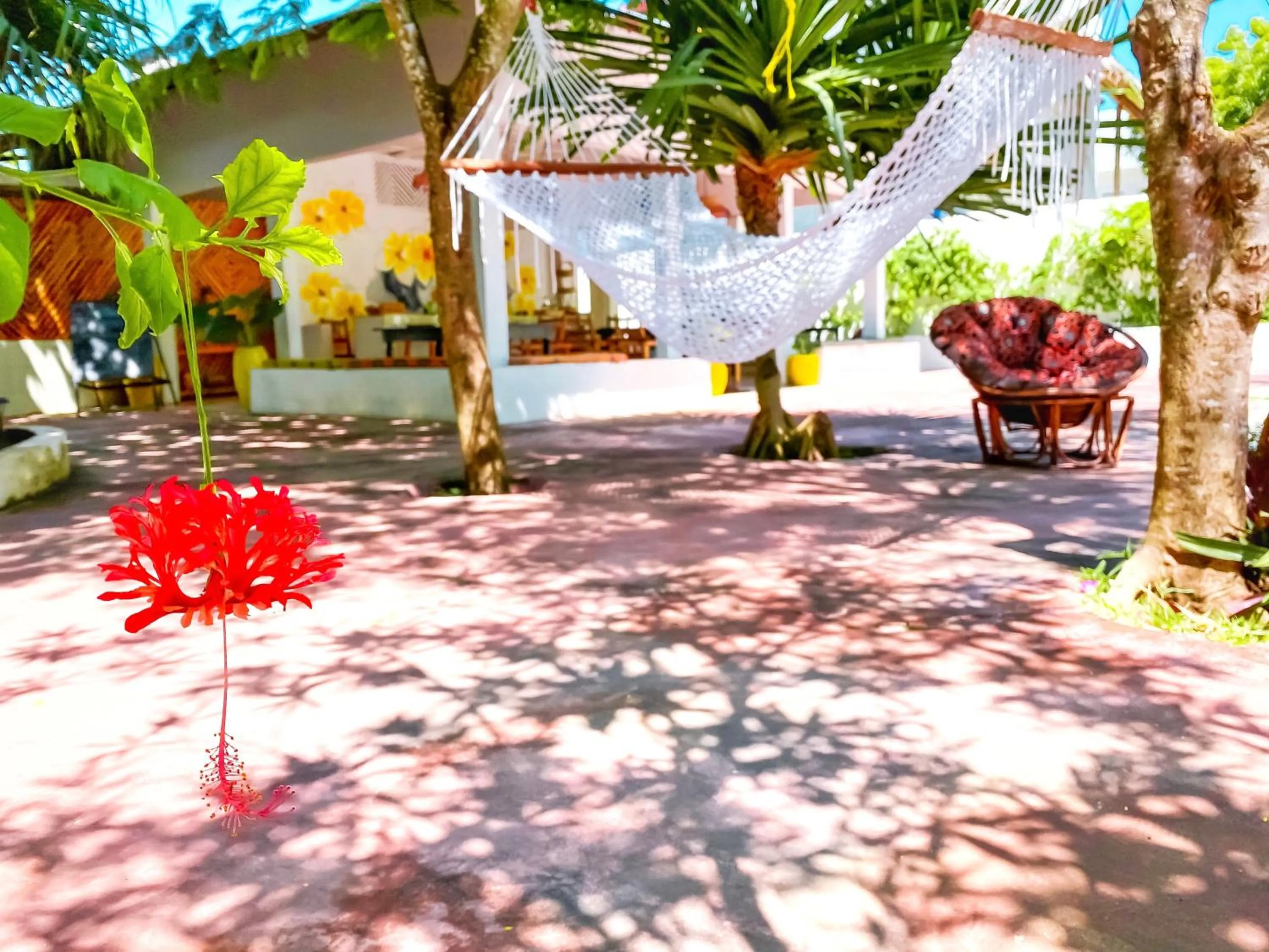 Patio in Papaya Guest House Nungwi