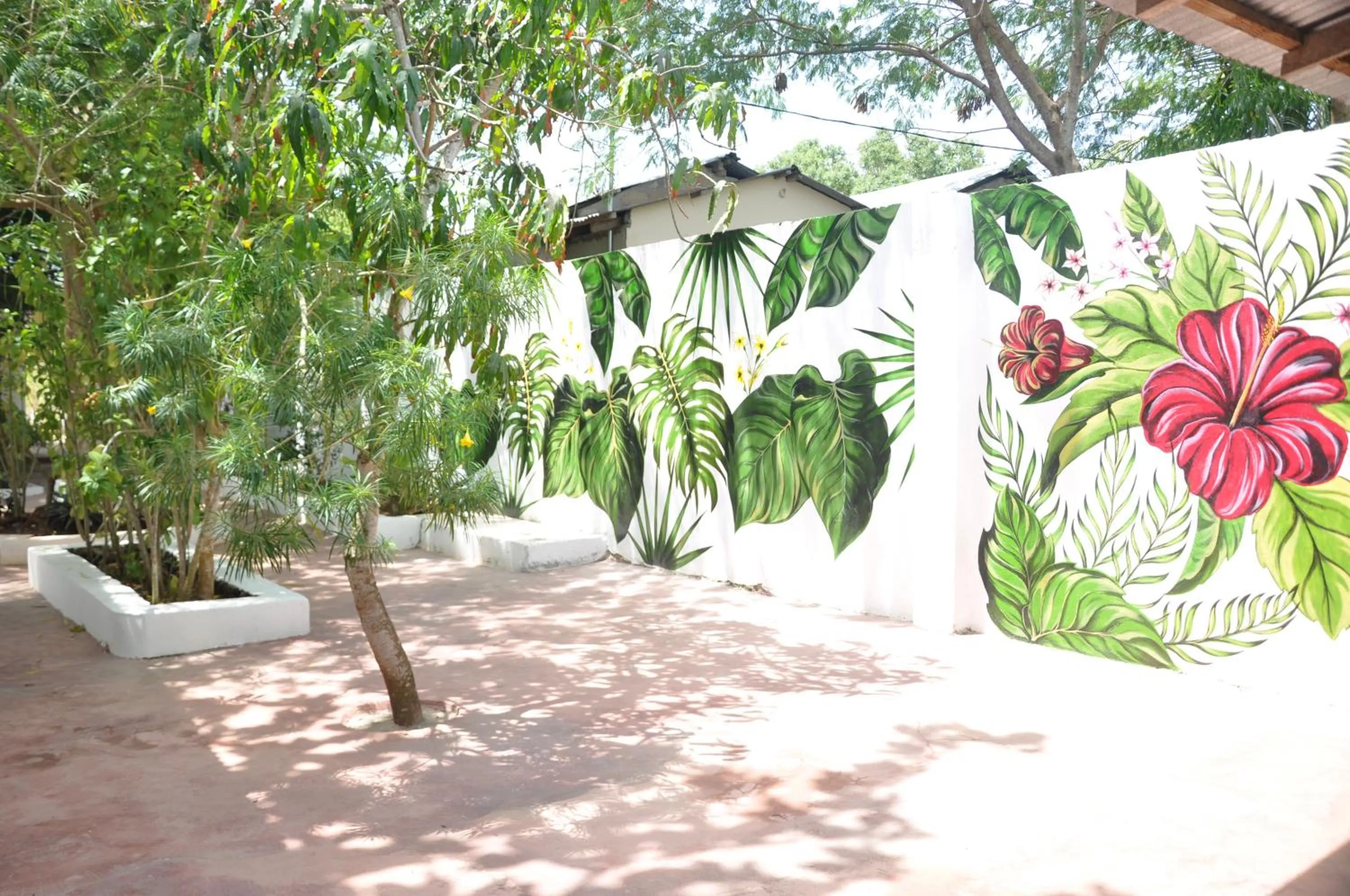 Garden in Papaya Guest House Nungwi