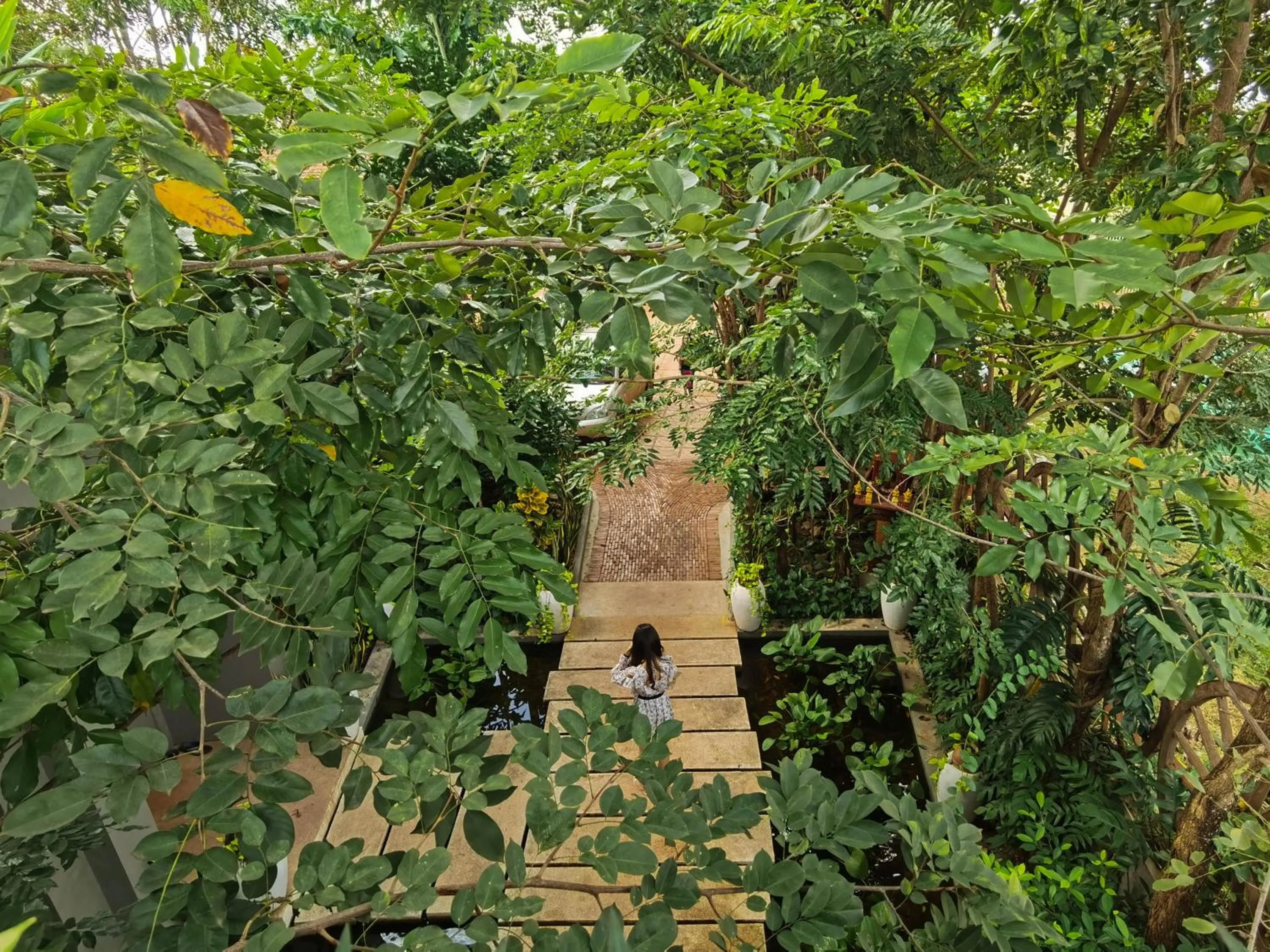 Natural landscape in Cheata Residence