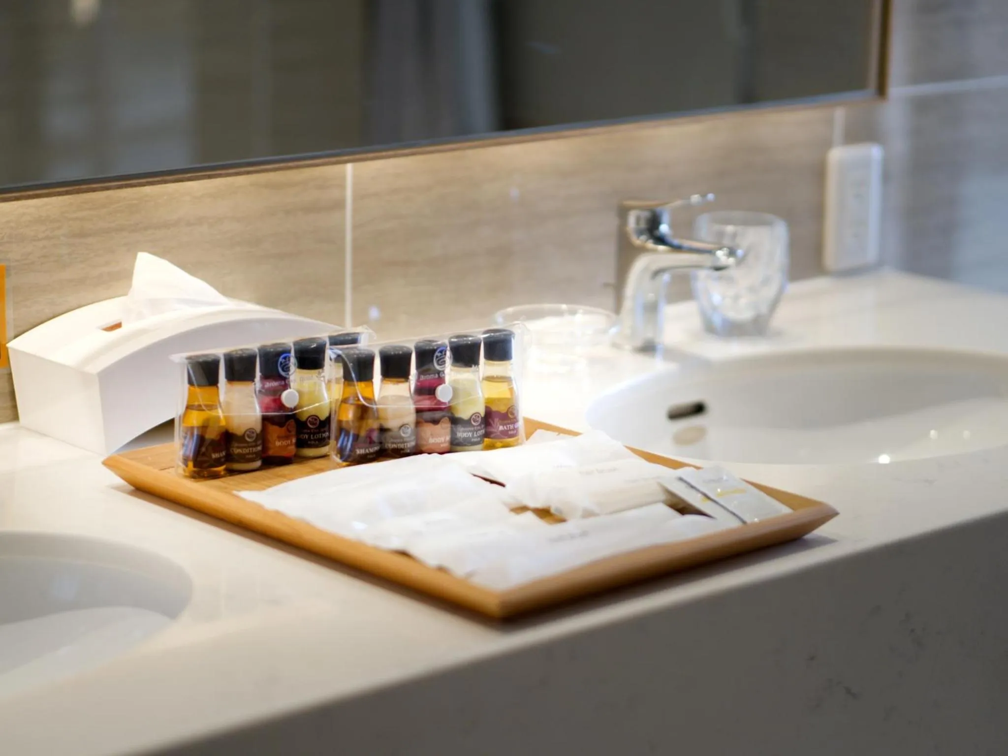 Area and facilities in T Hotel Ryuoo