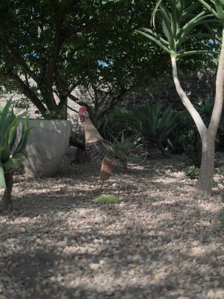 Natural landscape in Arbour1 Guesthouse