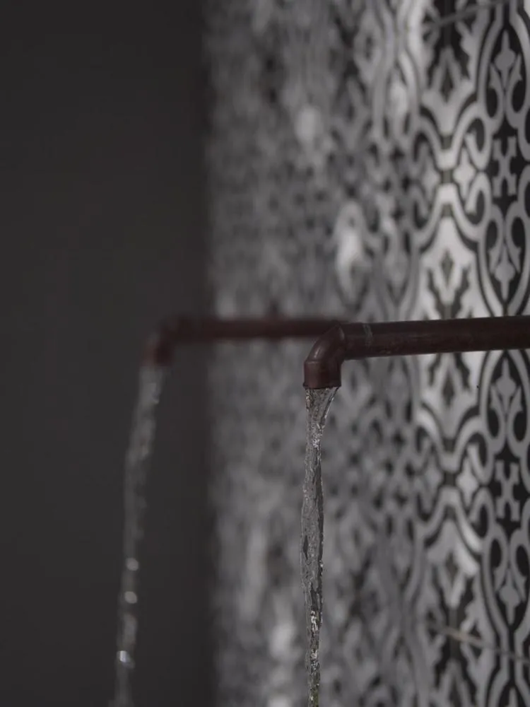 Spring in Arbour1 Guesthouse