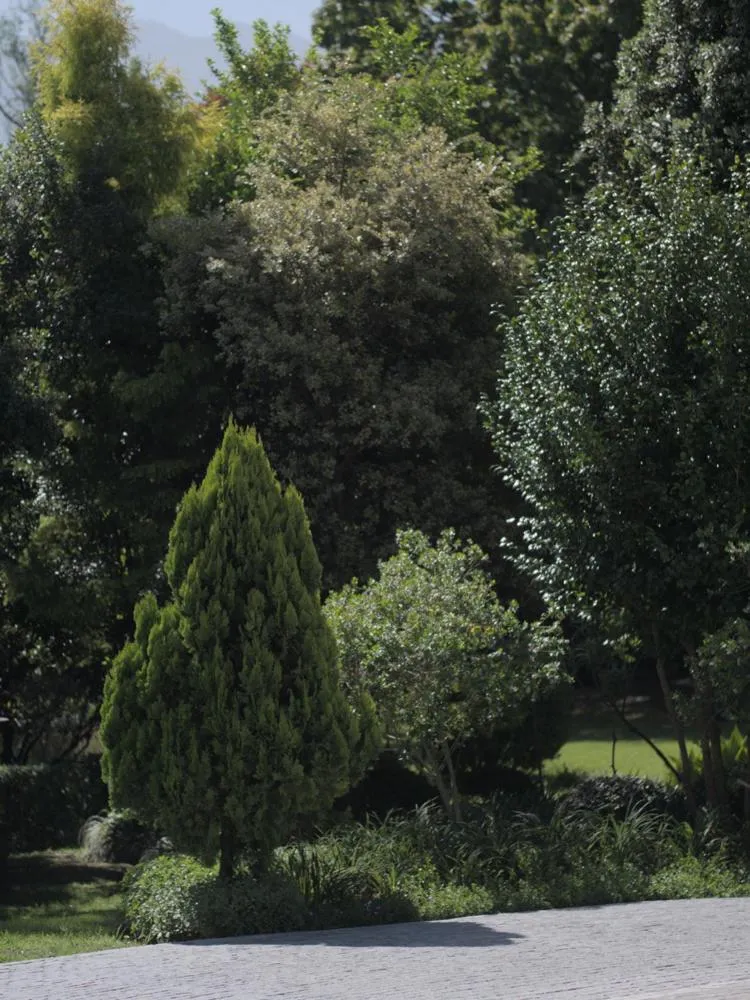 Natural landscape in Arbour1 Guesthouse