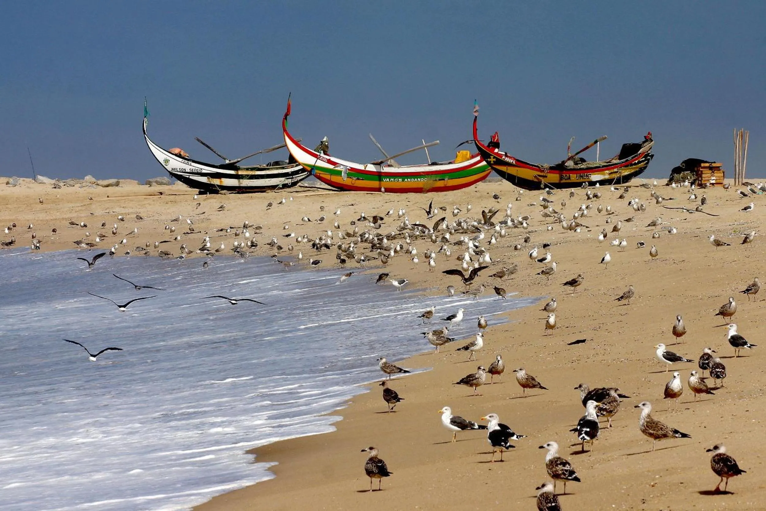 Day in Hotel Apartamento Solverde