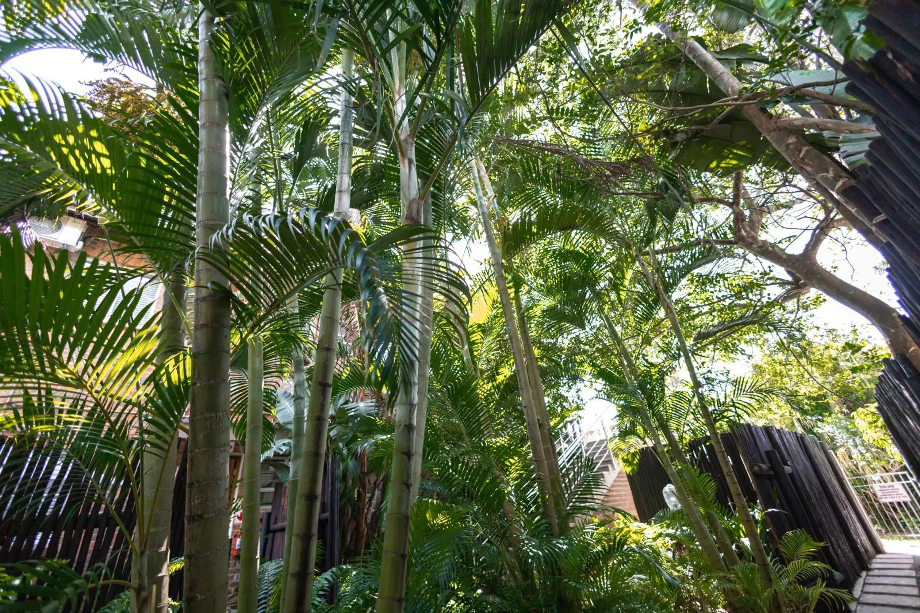 Apartment with Terrace in Little Eden St Lucia Apartment with Terrace in Little Eden St Lucia