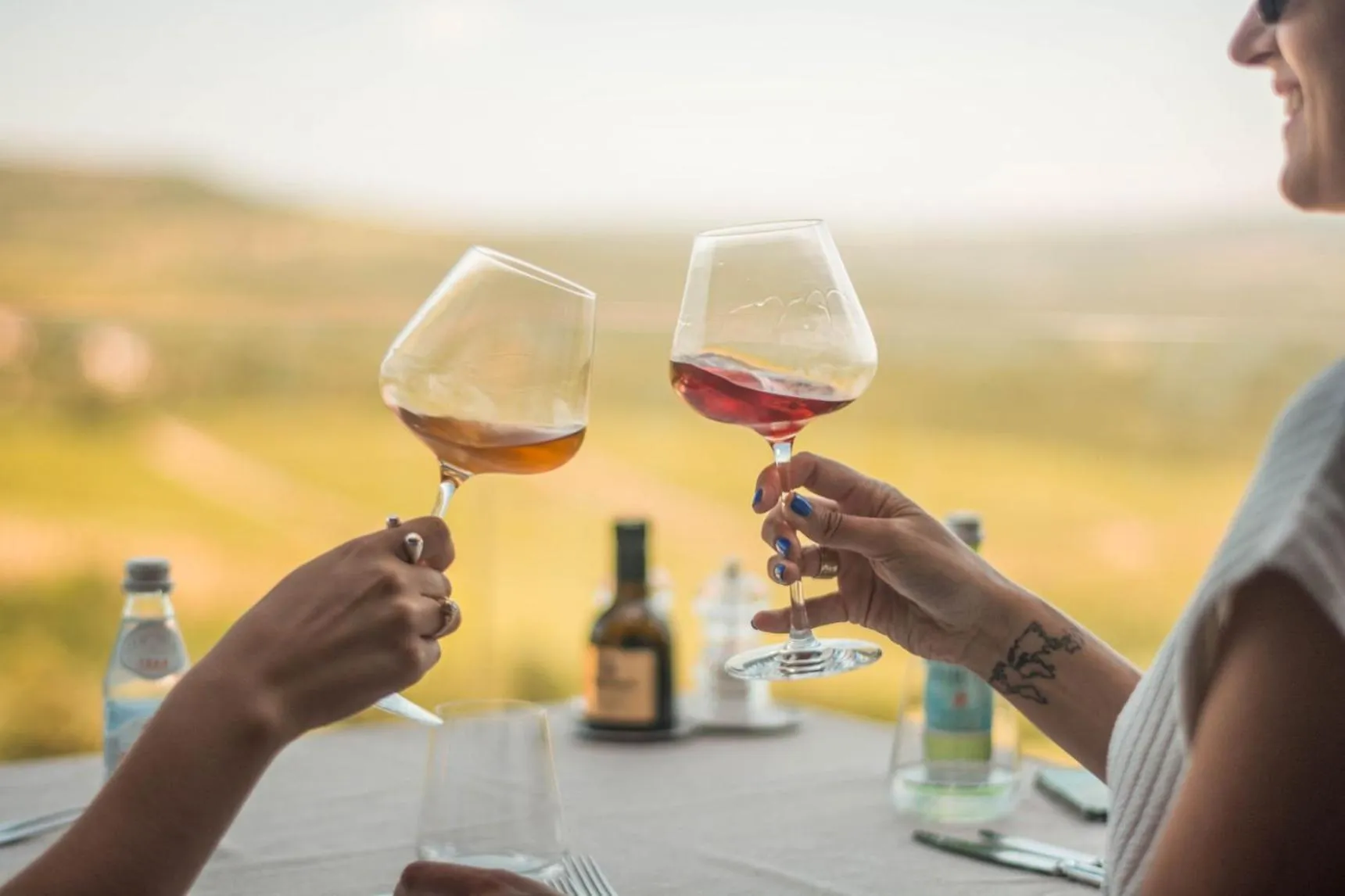 Food and drinks in Winery & Design hotel ROXANICH