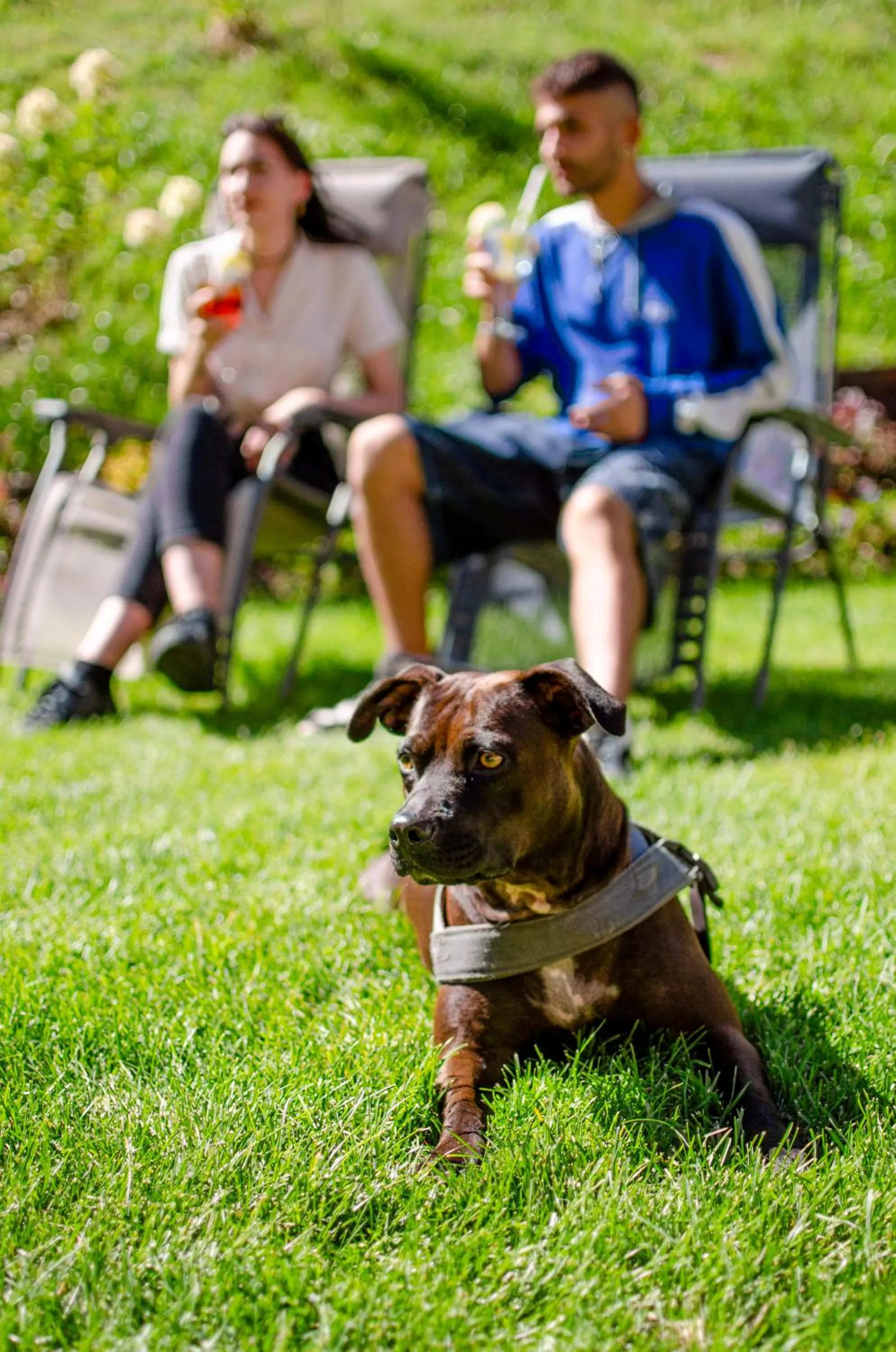 Garden in Hotel Valsorda