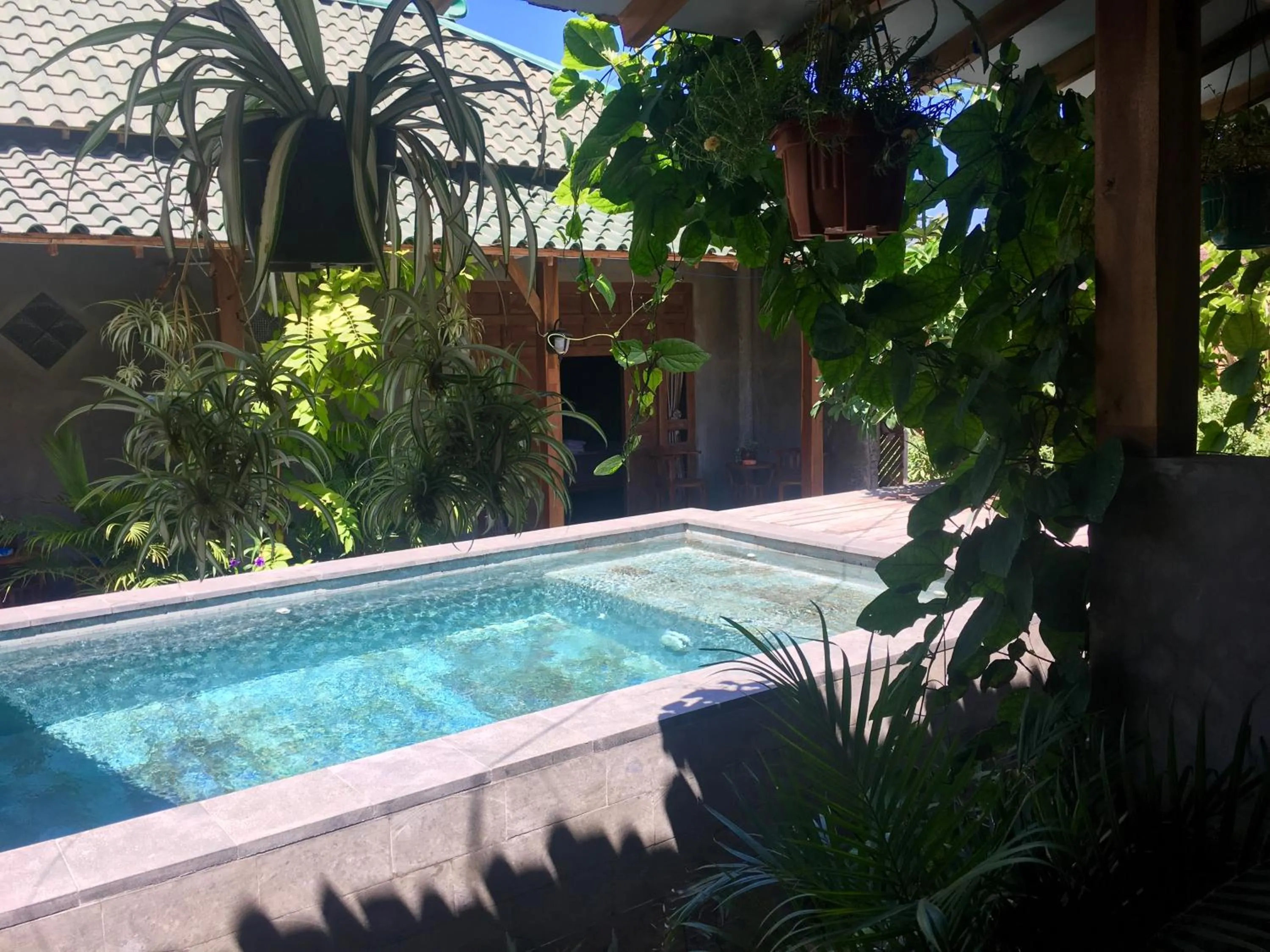 Pool view in Watukarung Ristu Homestay