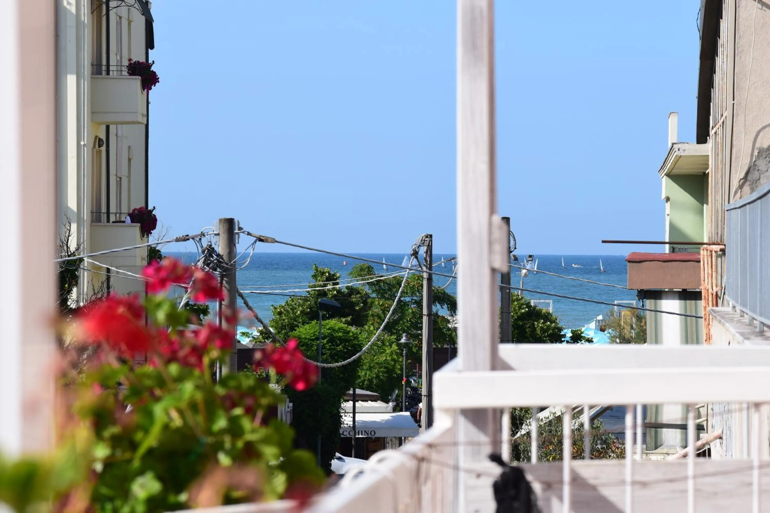 Balcony/Terrace in Hotel Ottavia