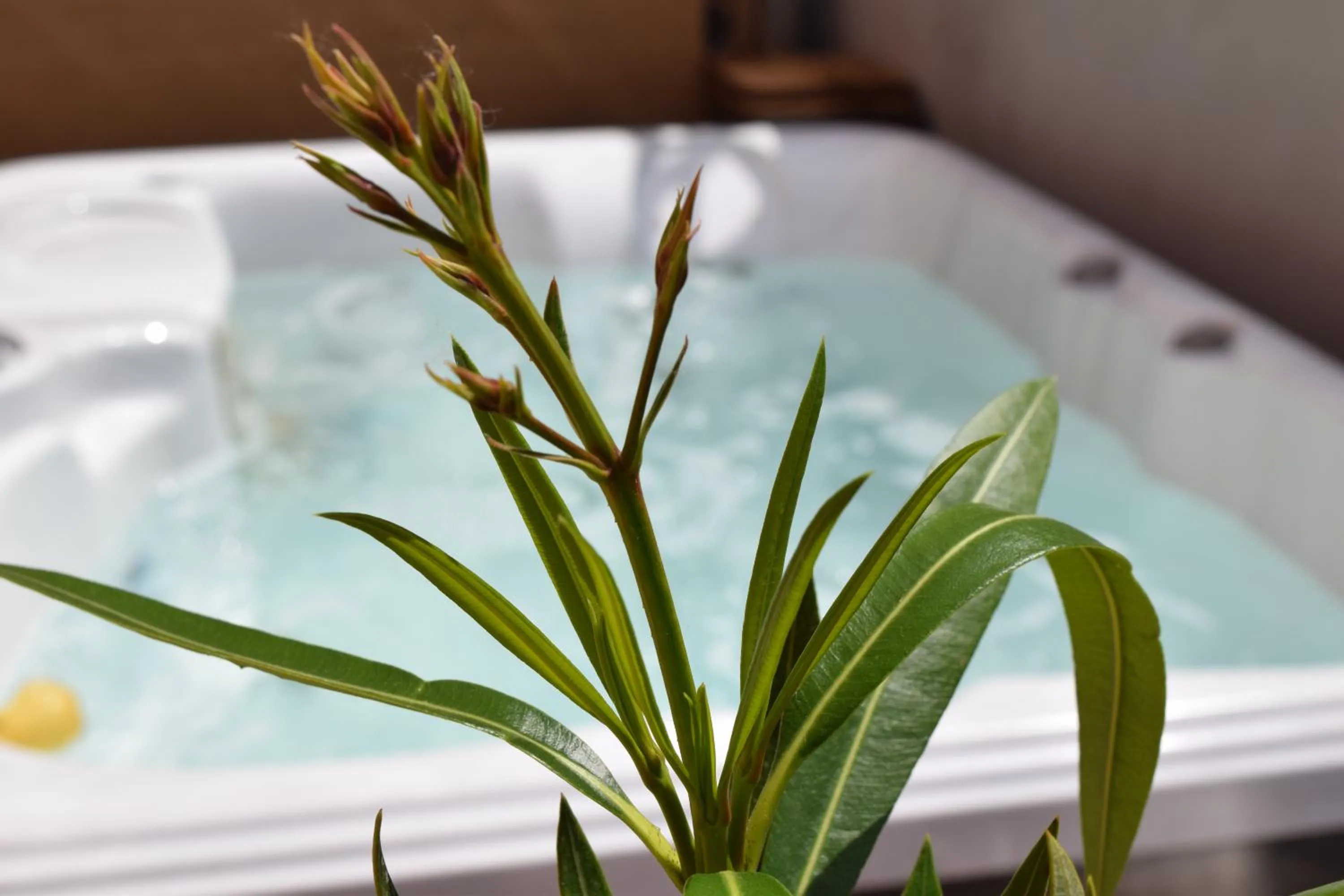 Hot Tub in Hotel Ottavia