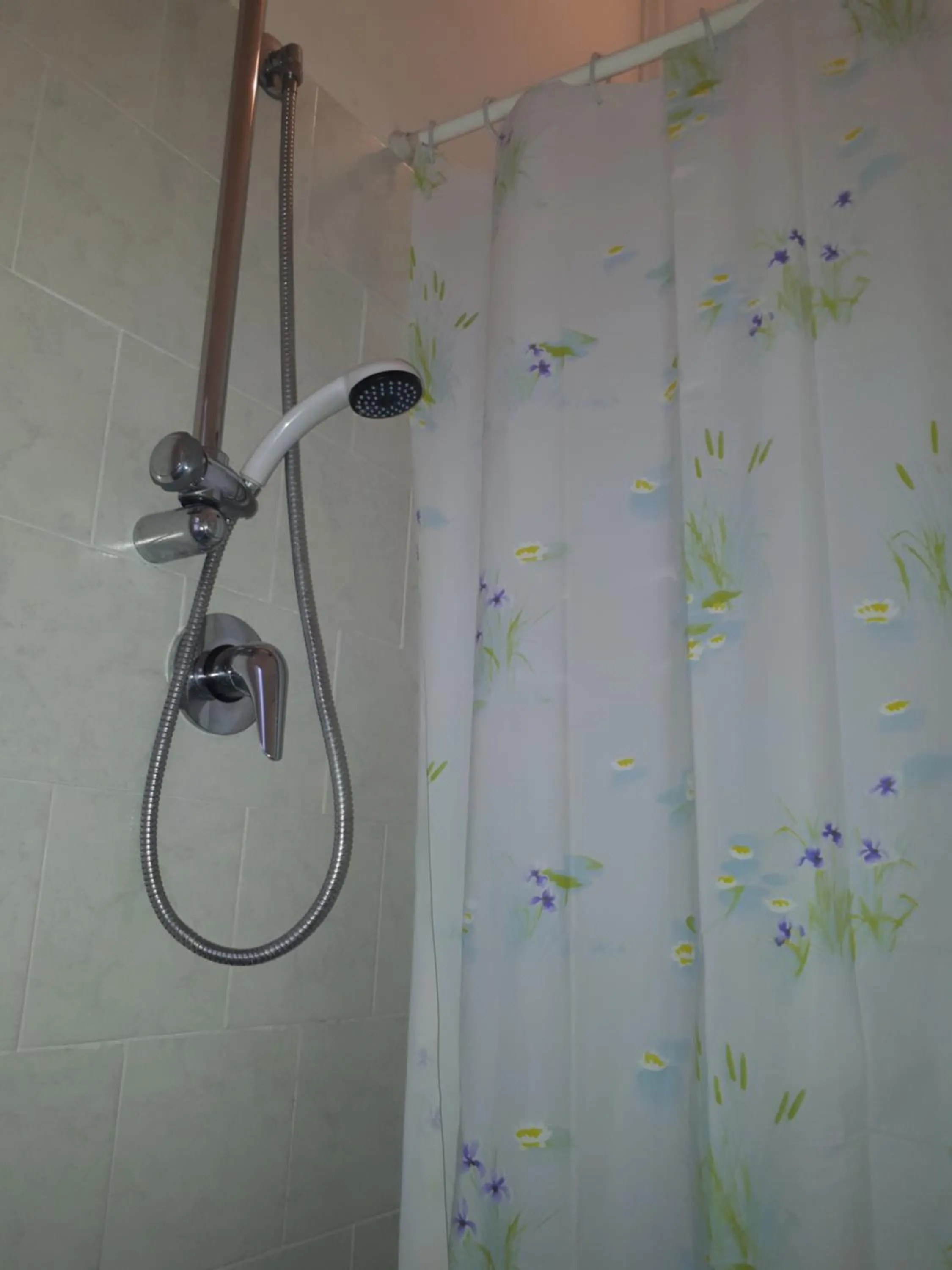 Shower in Hotel Ottavia