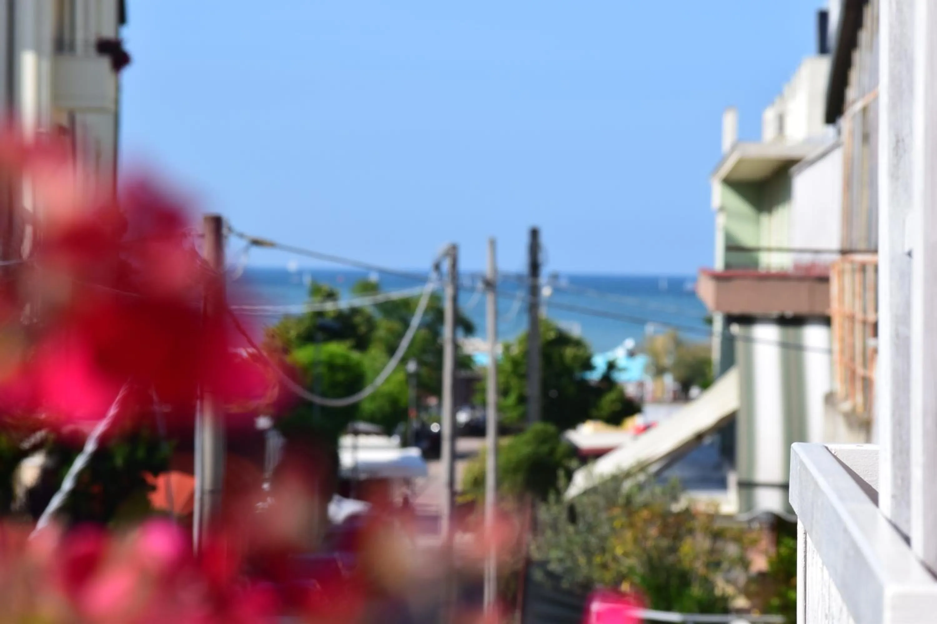 Balcony/Terrace in Hotel Ottavia