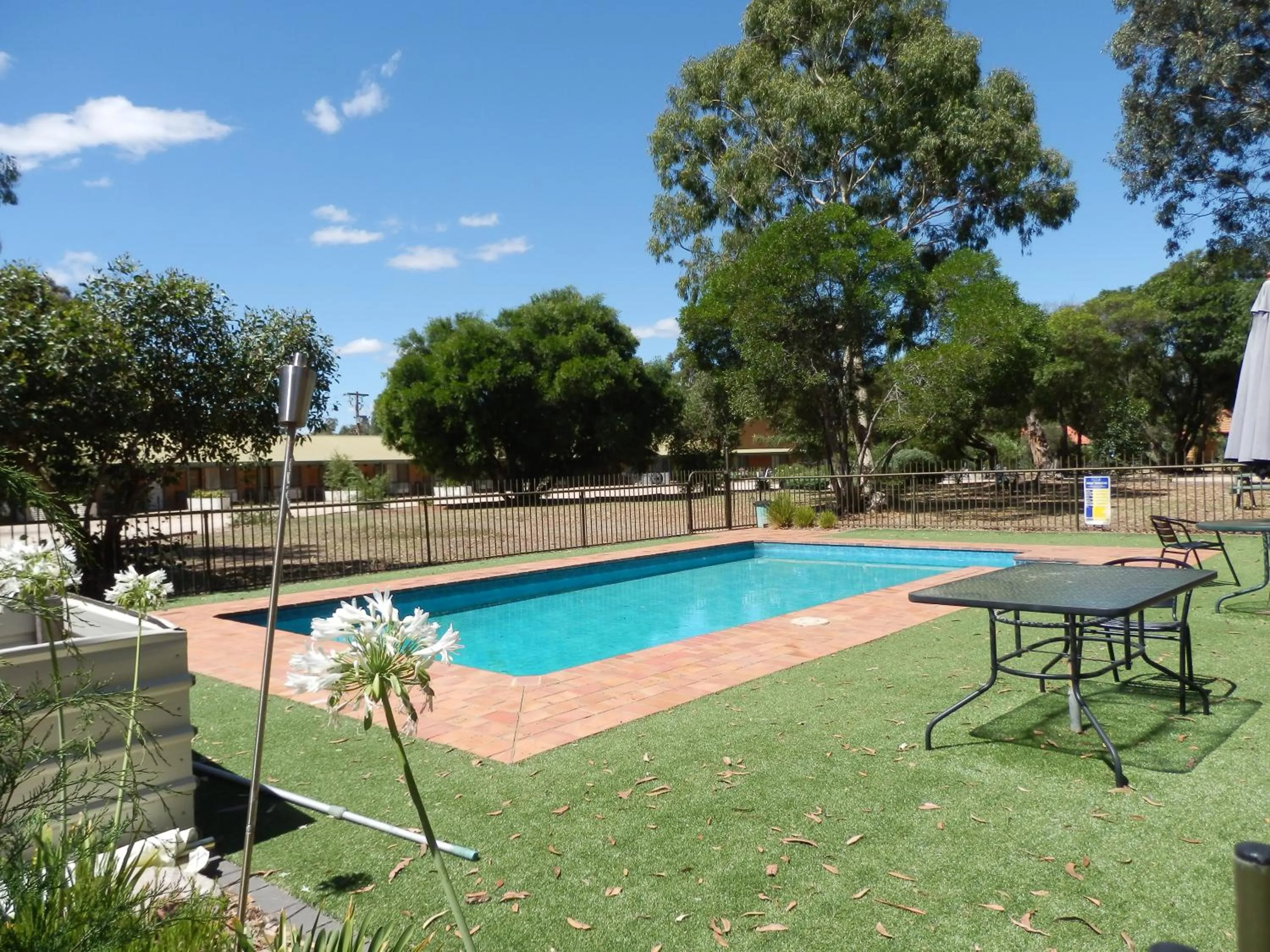 Swimming pool in Mountain View Motor Inn & Holiday Lodges