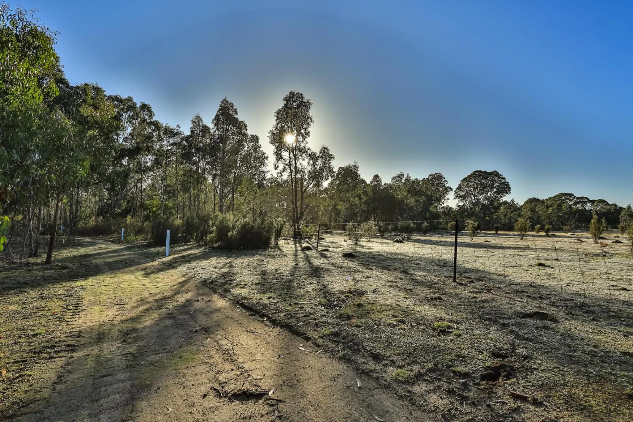 Natural landscape in Mountain View Motor Inn & Holiday Lodges