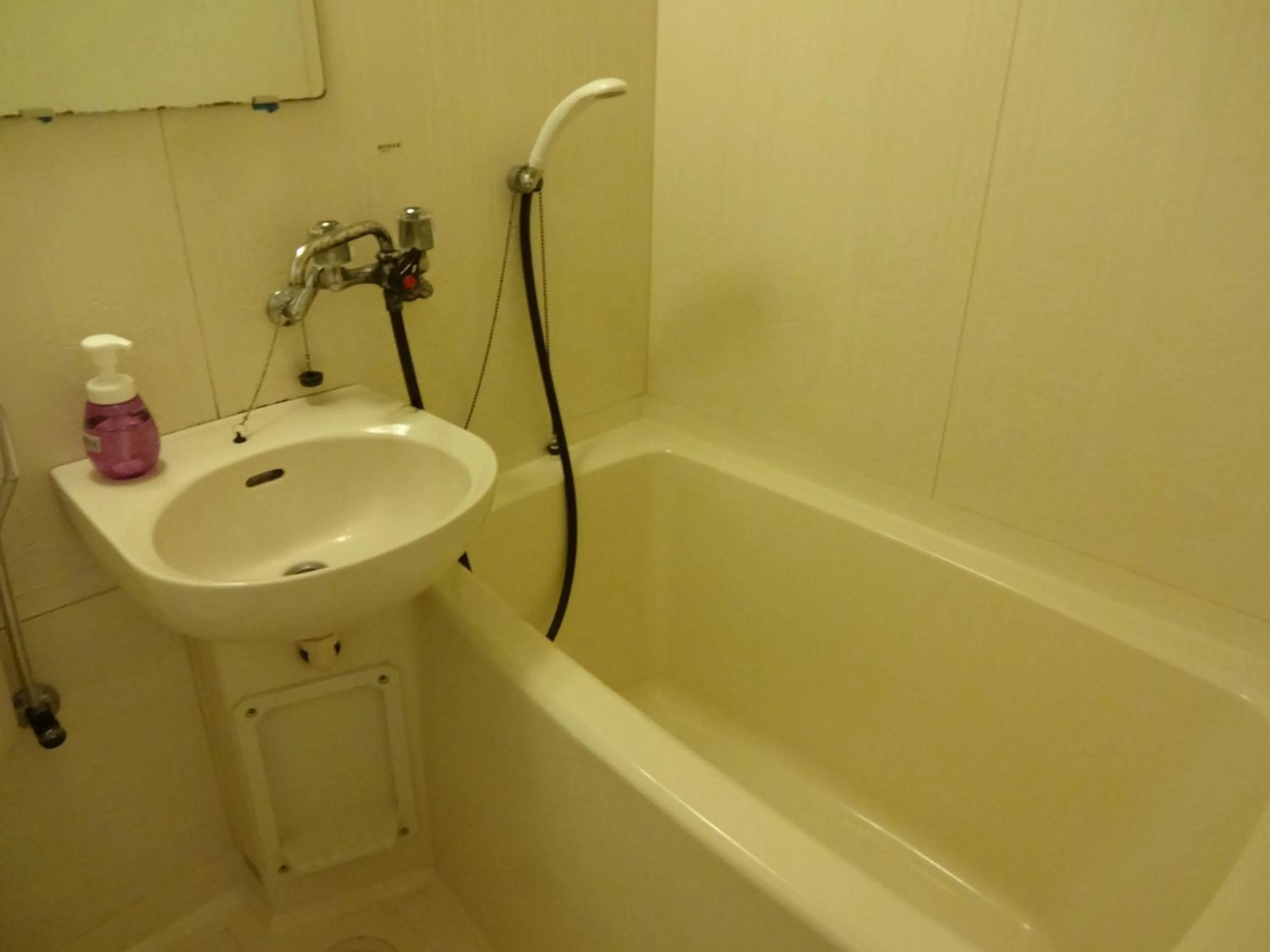 Bathroom in Okunikko Park Lodge Miyama