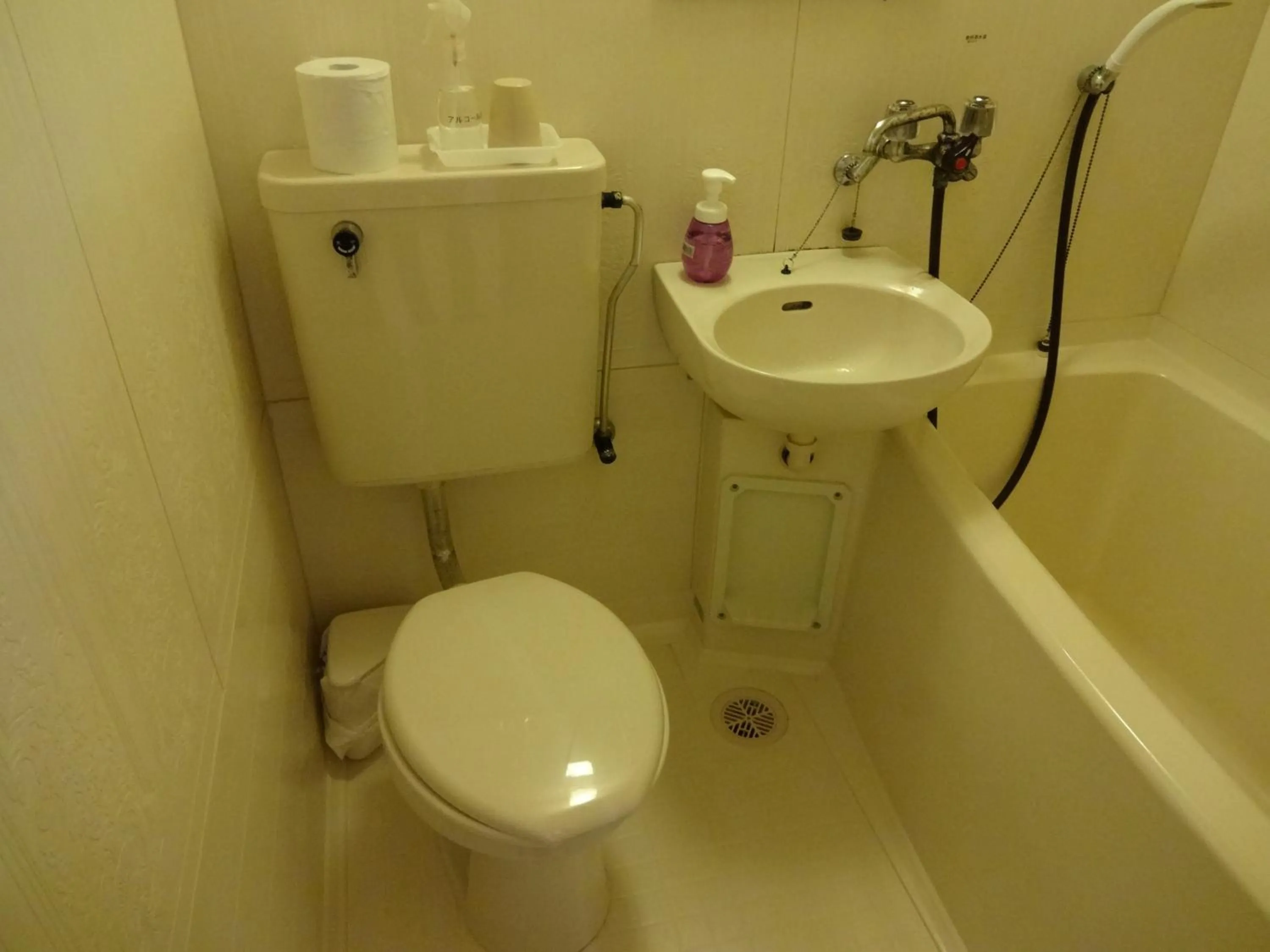 Bathroom in Okunikko Park Lodge Miyama