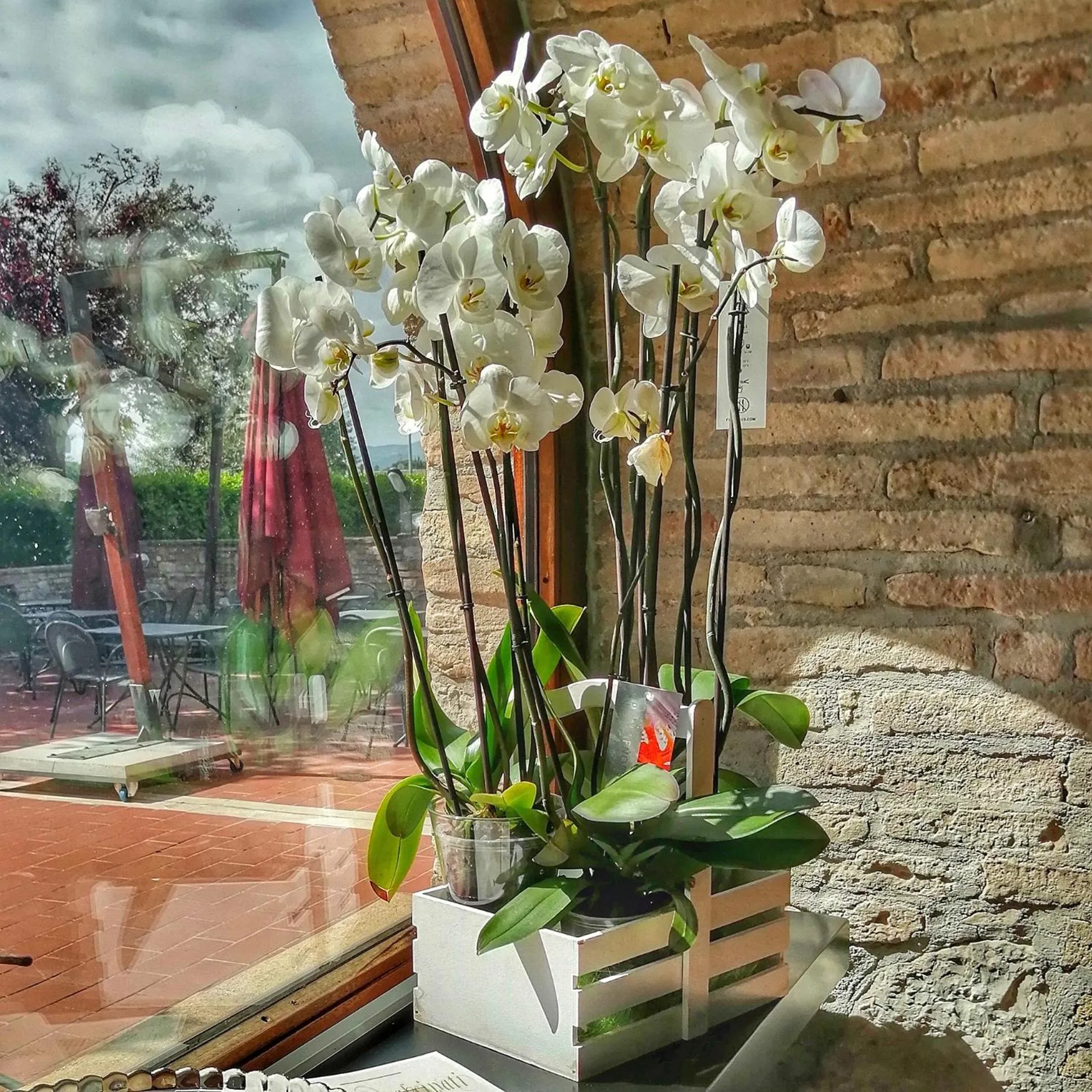 Garden in Locanda Giustini