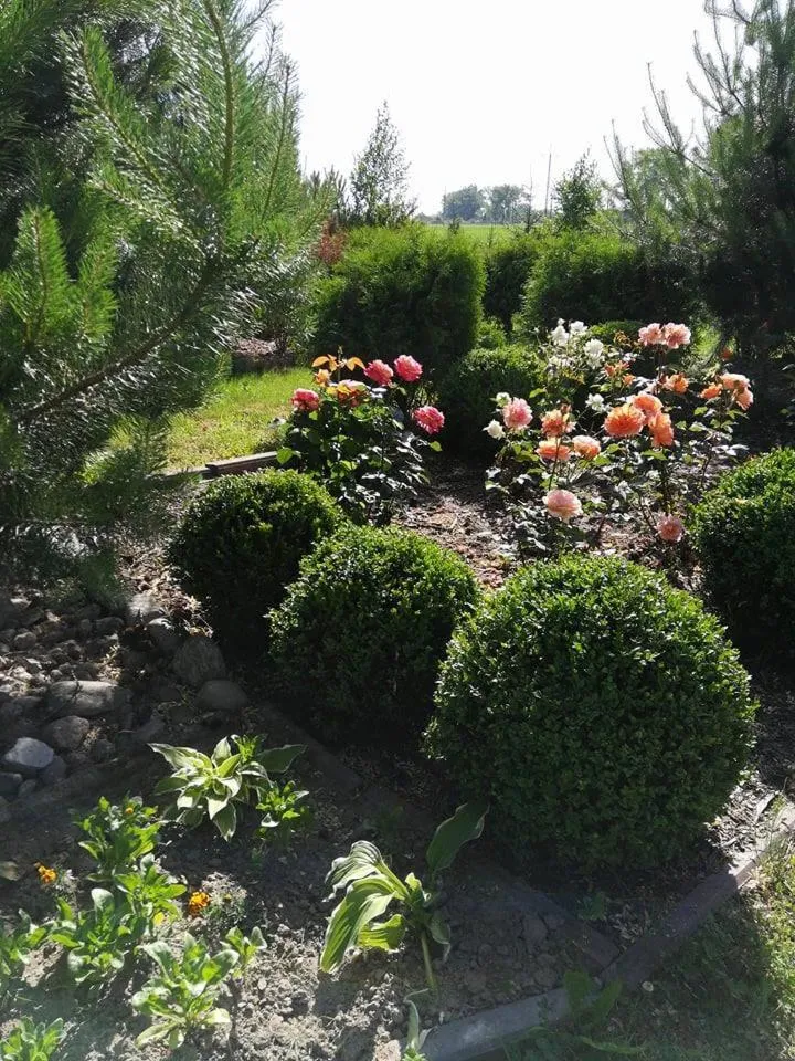 Centrum Wypoczynkowe COMPLEX