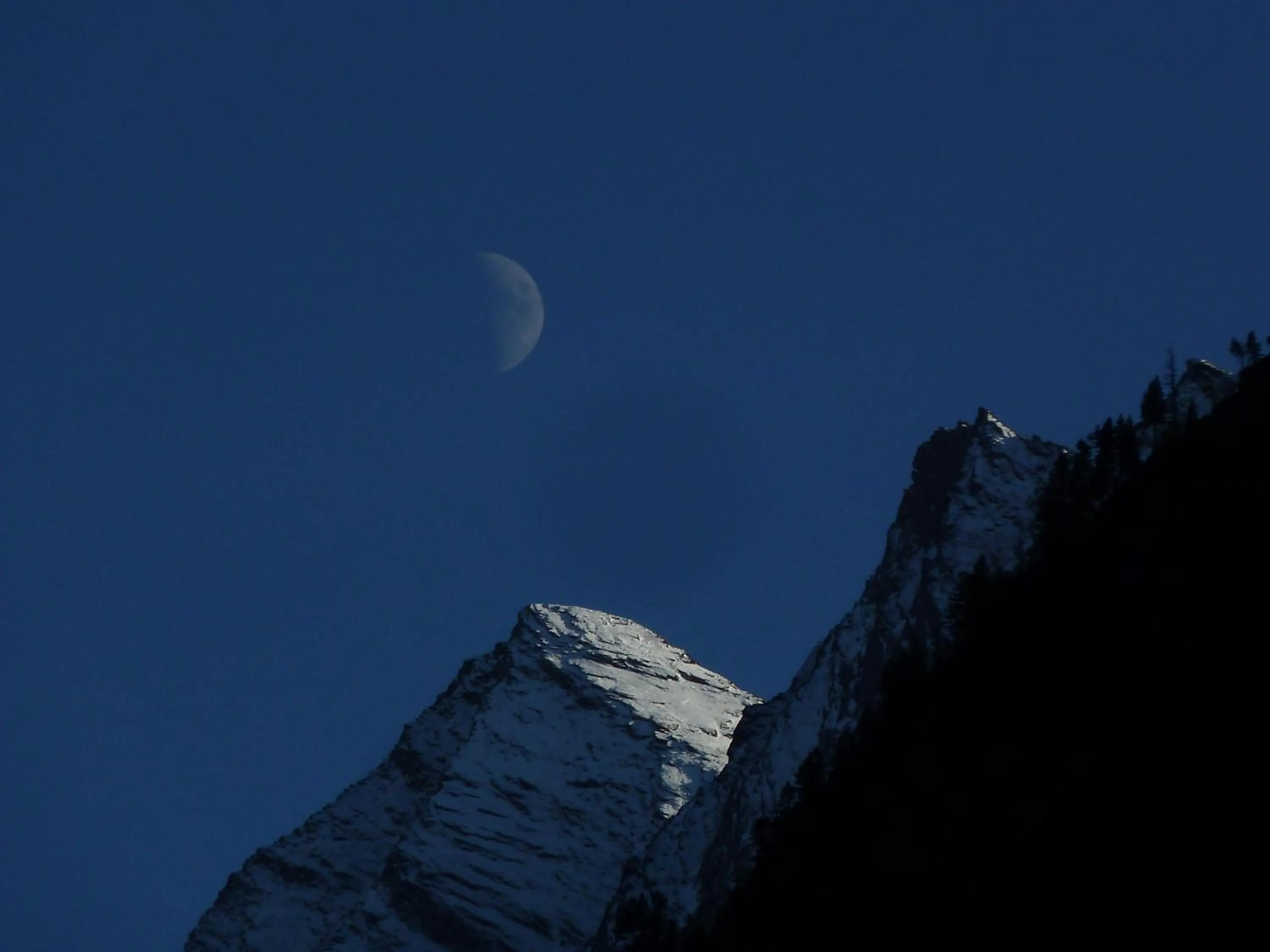 Mountain view in Hotel Gasthaus Schwarzenstein