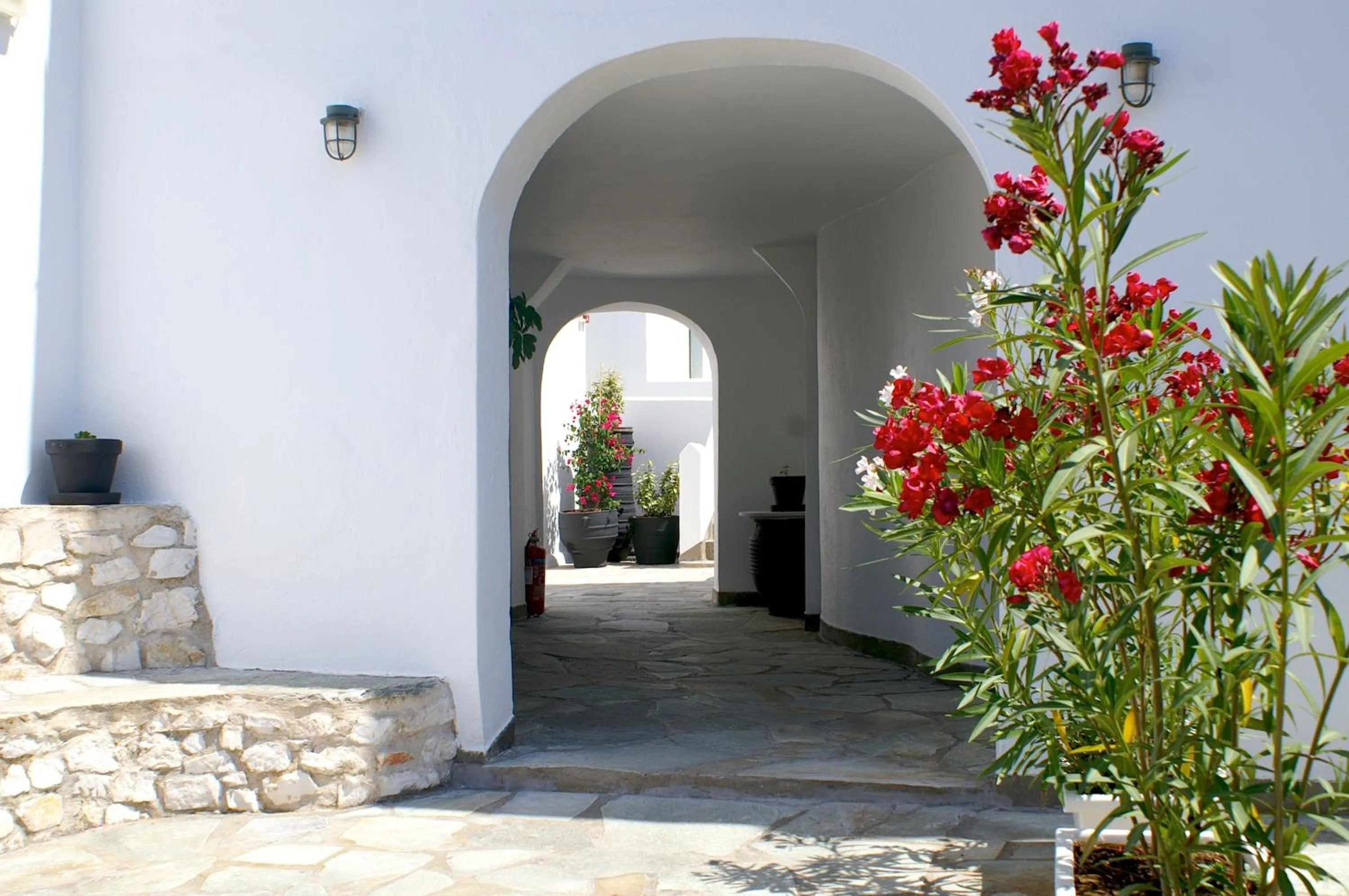 Patio in Adonis Hotel Studios & Apartments
