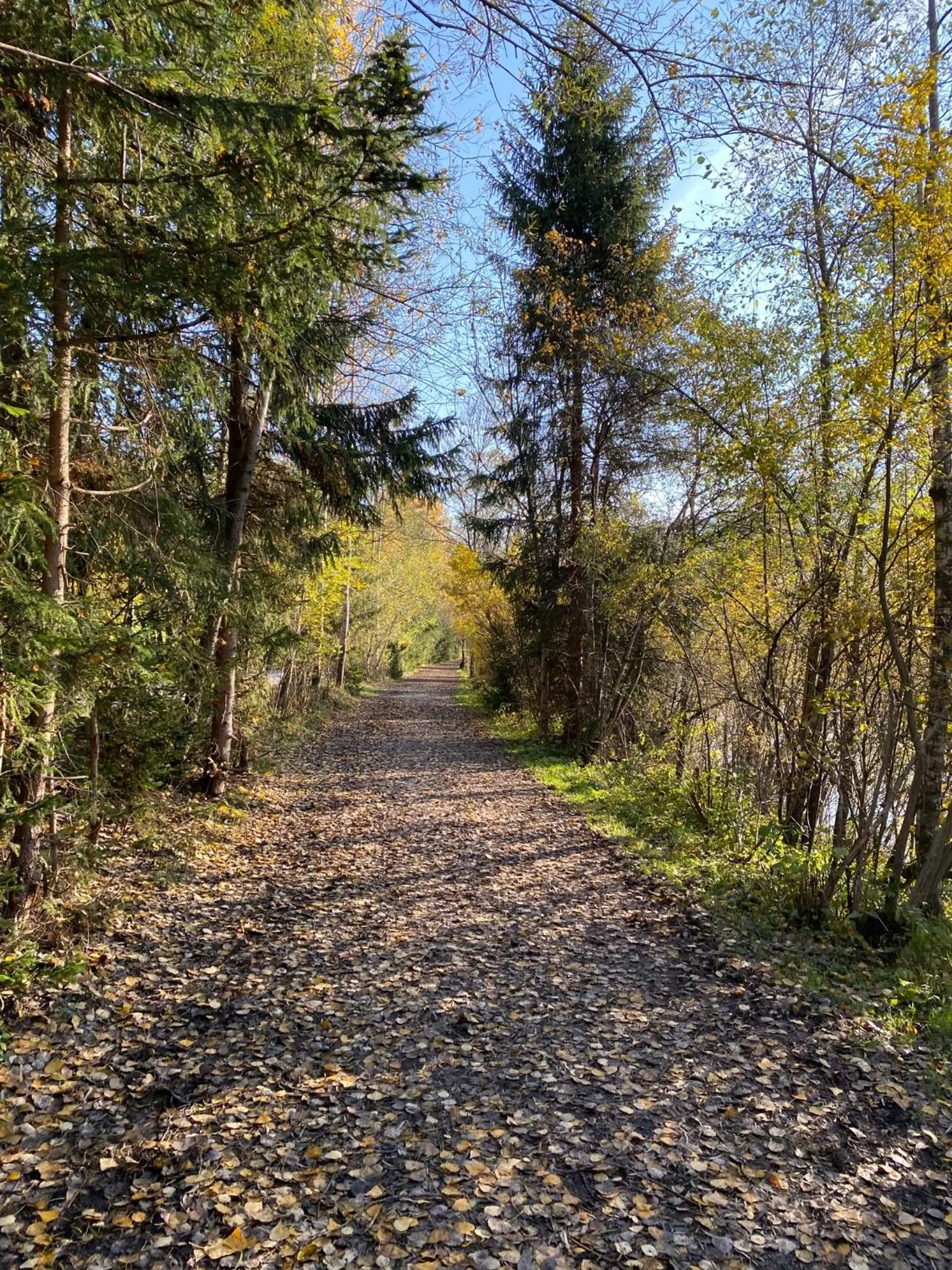 Spring in Hotel Standlhof Zillertal