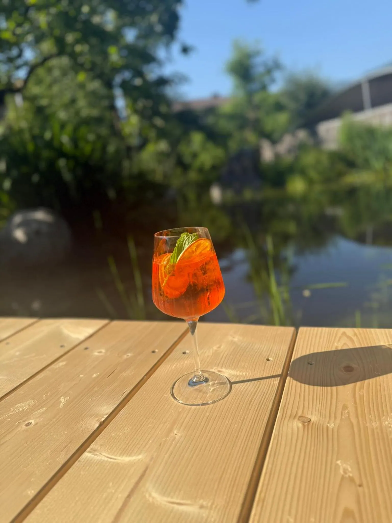 Garden in Hotel Standlhof Zillertal
